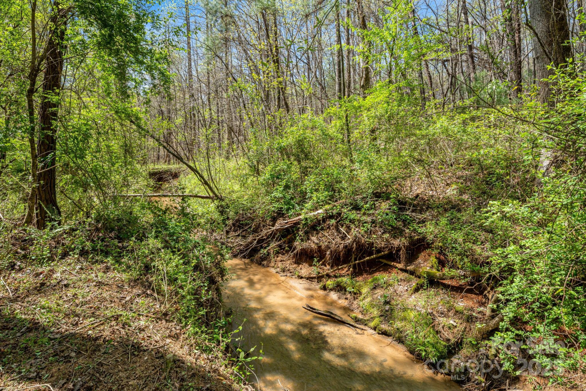 19 Sunset Drive #19 - Photo 12