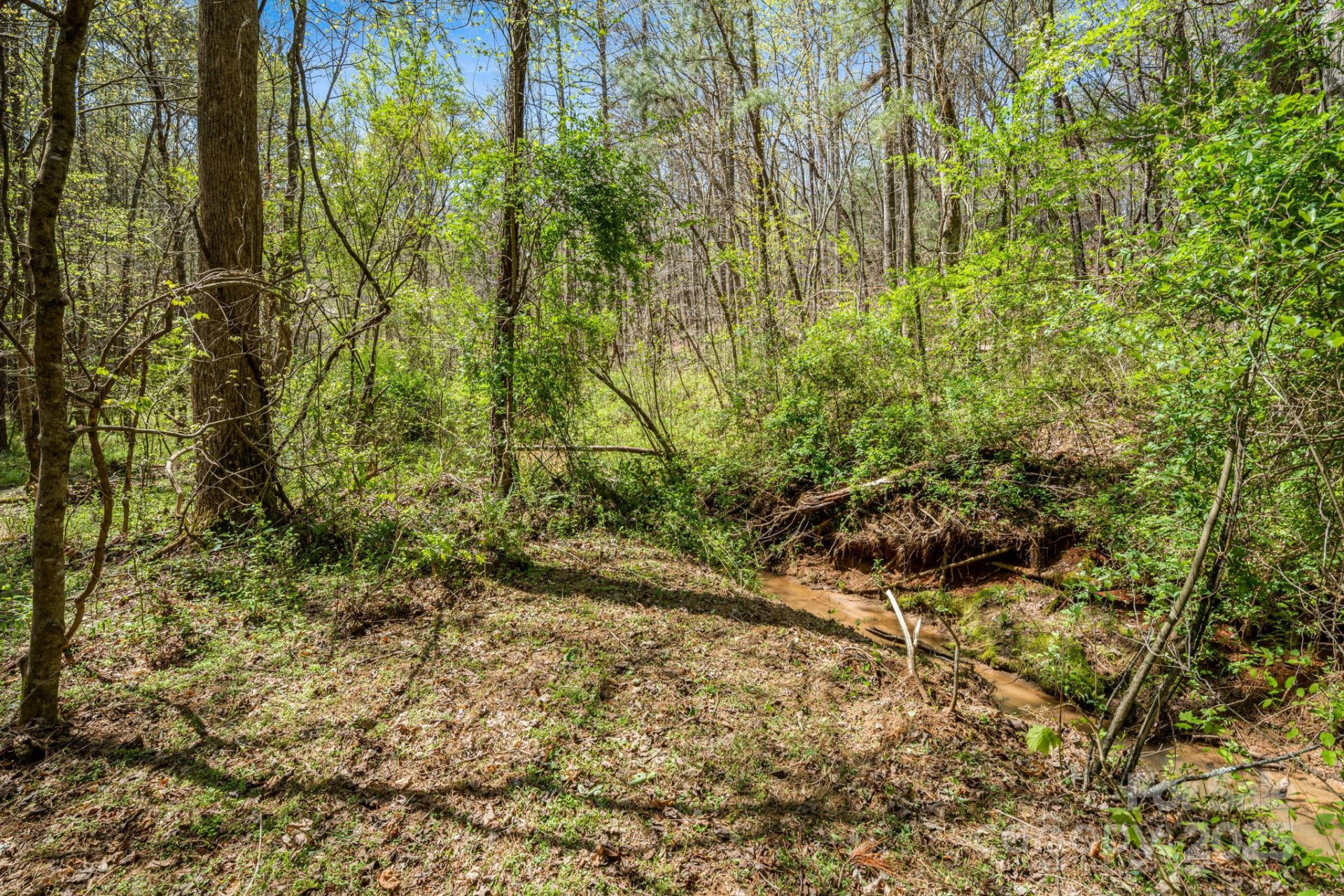 19 Sunset Drive #19 - Photo 13