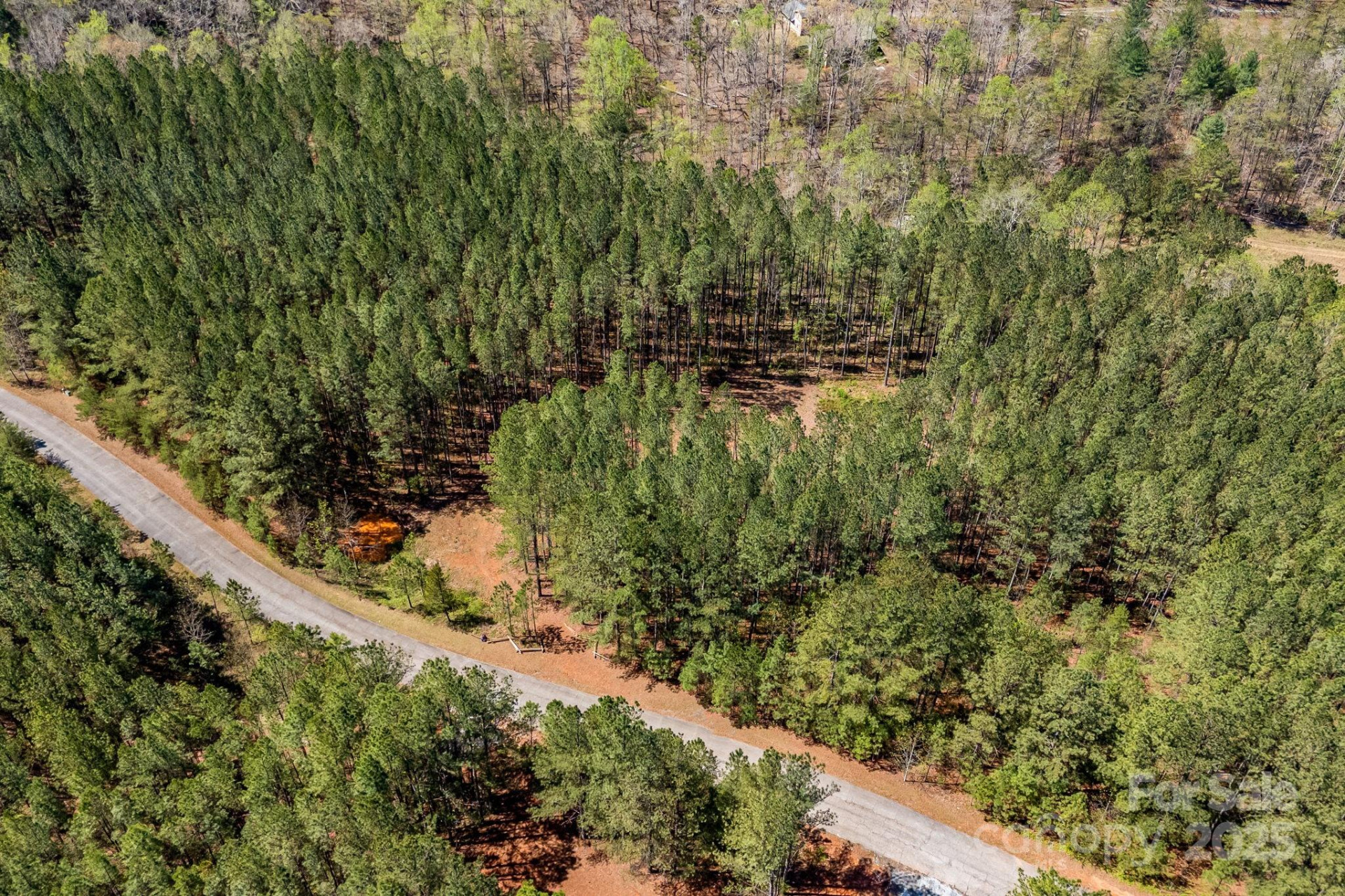 19 Sunset Drive #19 - Photo 14