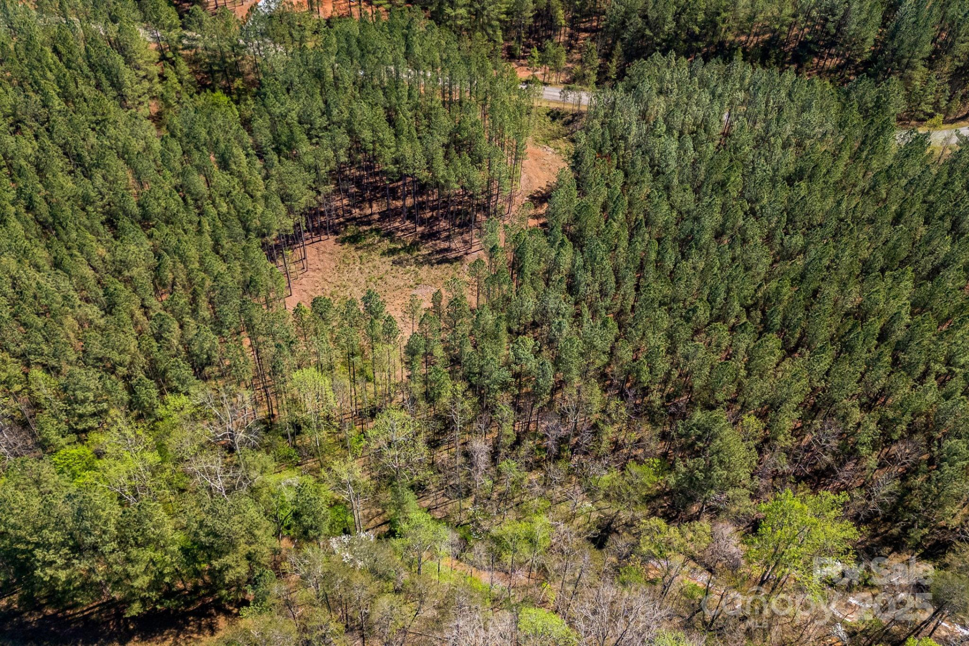 19 Sunset Drive #19 - Photo 16