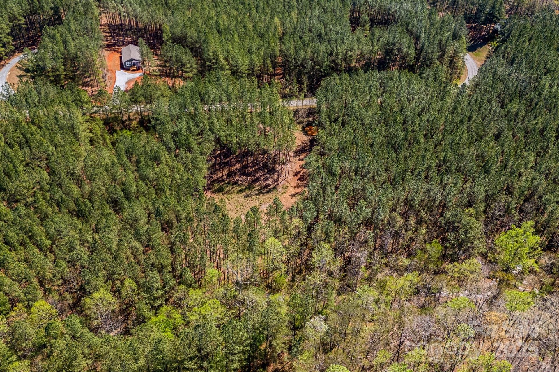 19 Sunset Drive #19 - Photo 17