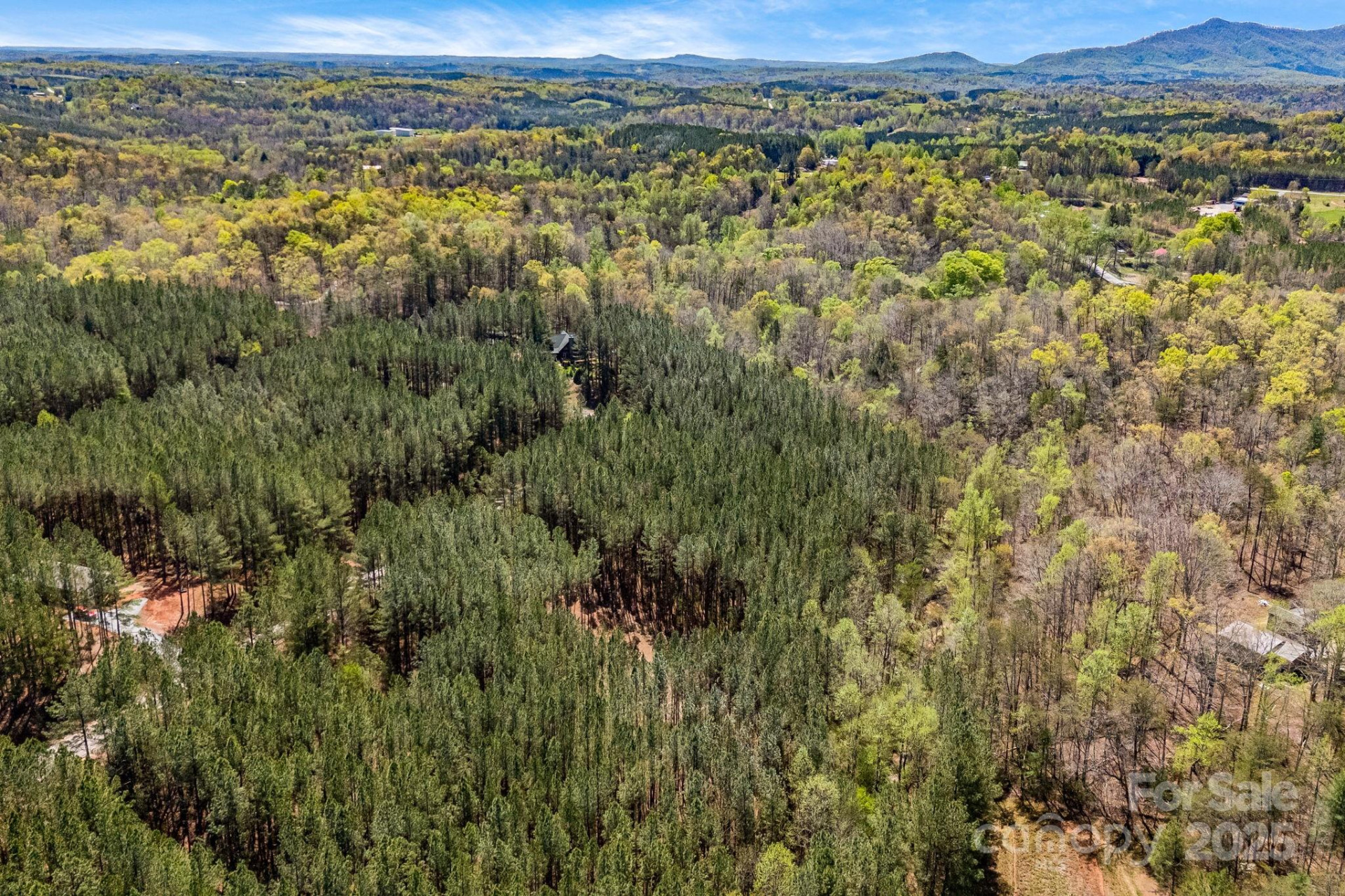 19 Sunset Drive #19 - Photo 18