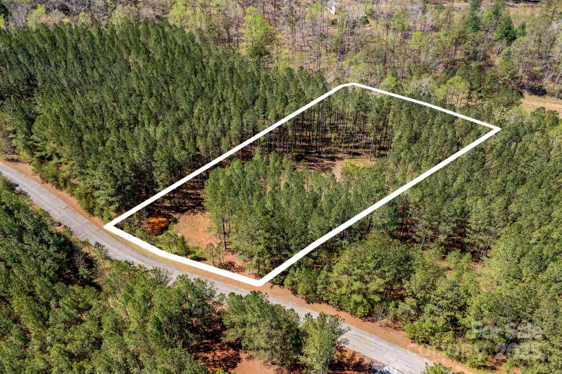 19 Sunset Drive #19 - Photo 3