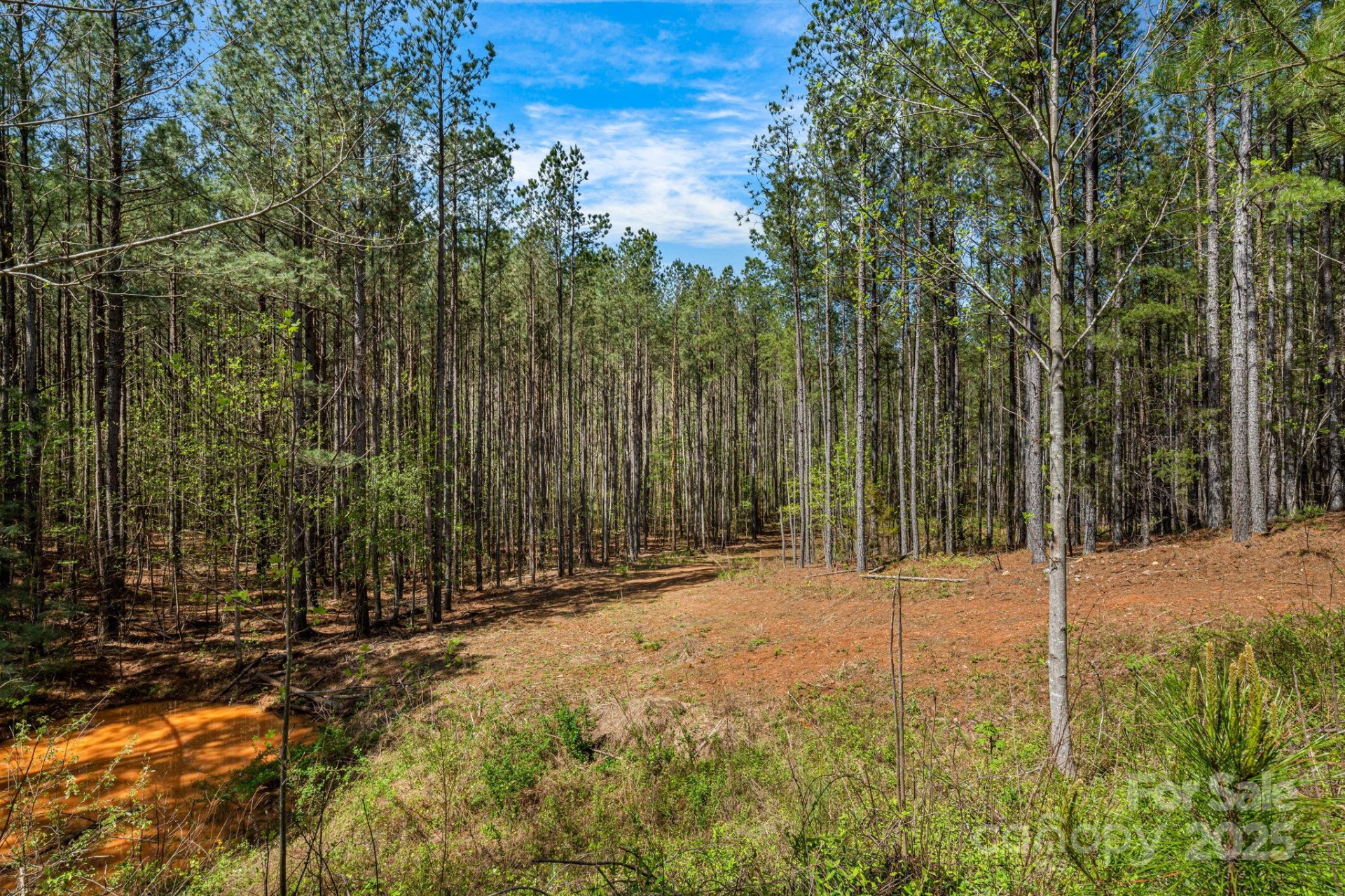 19 Sunset Drive #19 - Photo 4