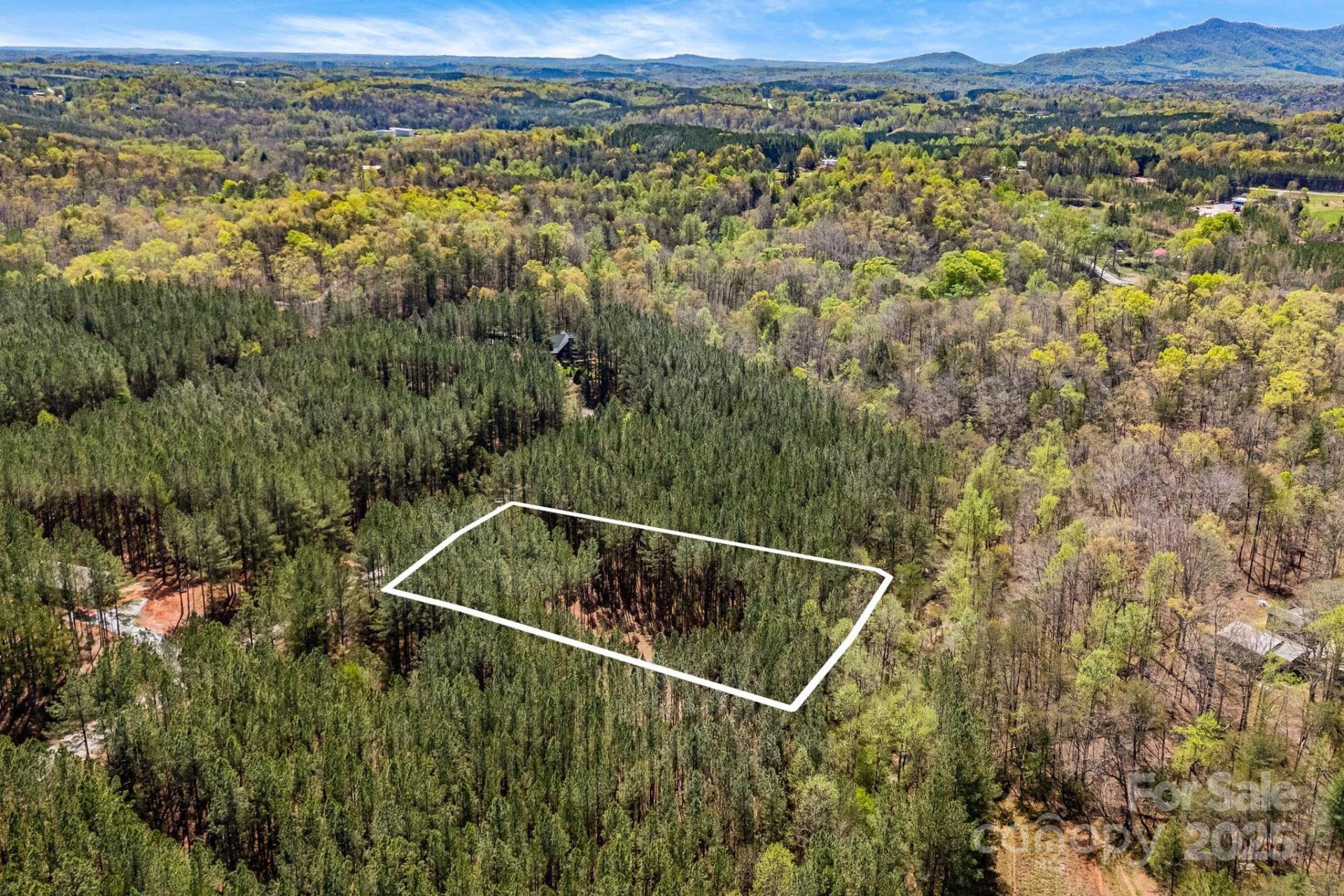 19 Sunset Drive #19 - Photo 5