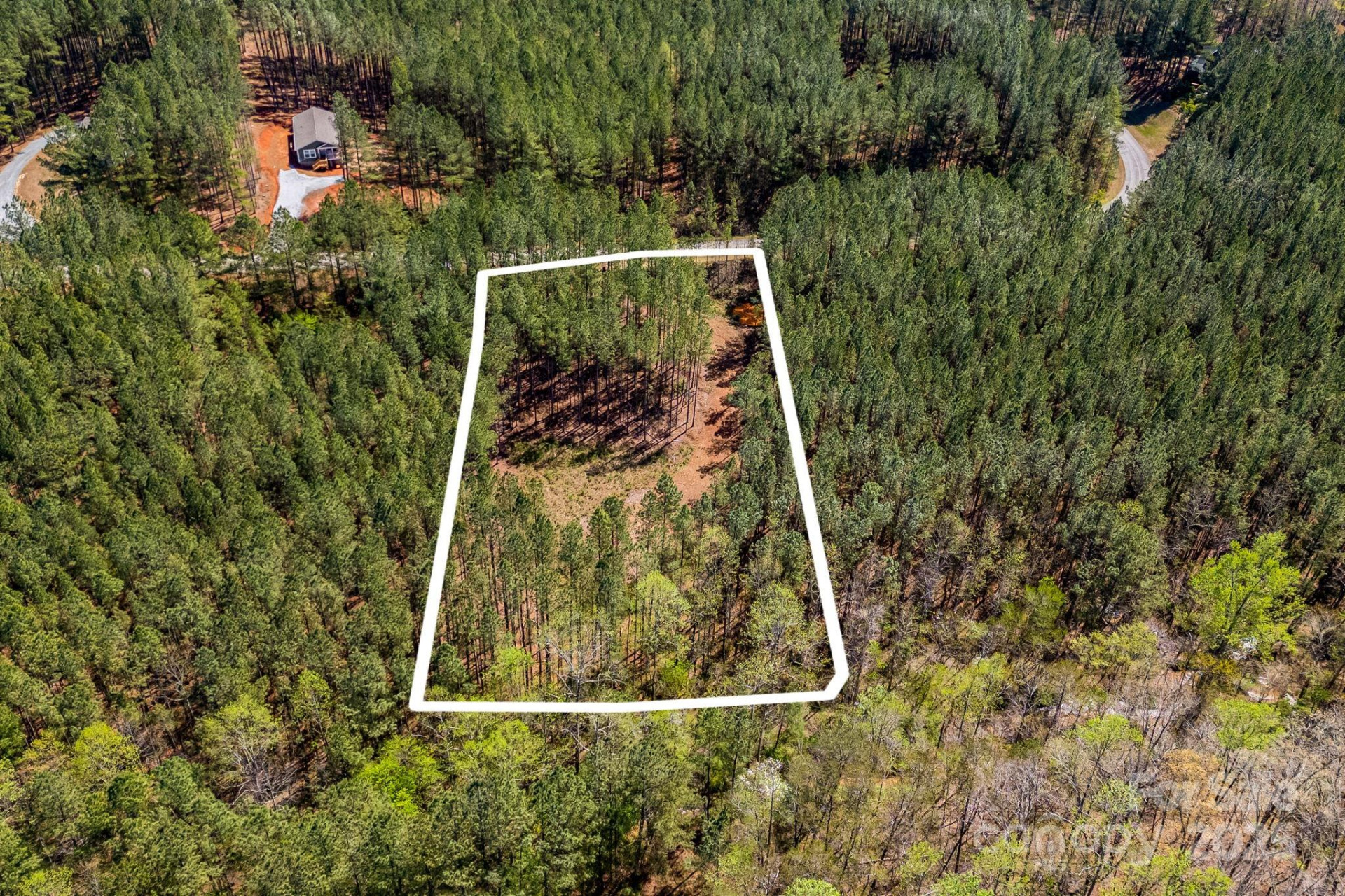 19 Sunset Drive #19 - Photo 6