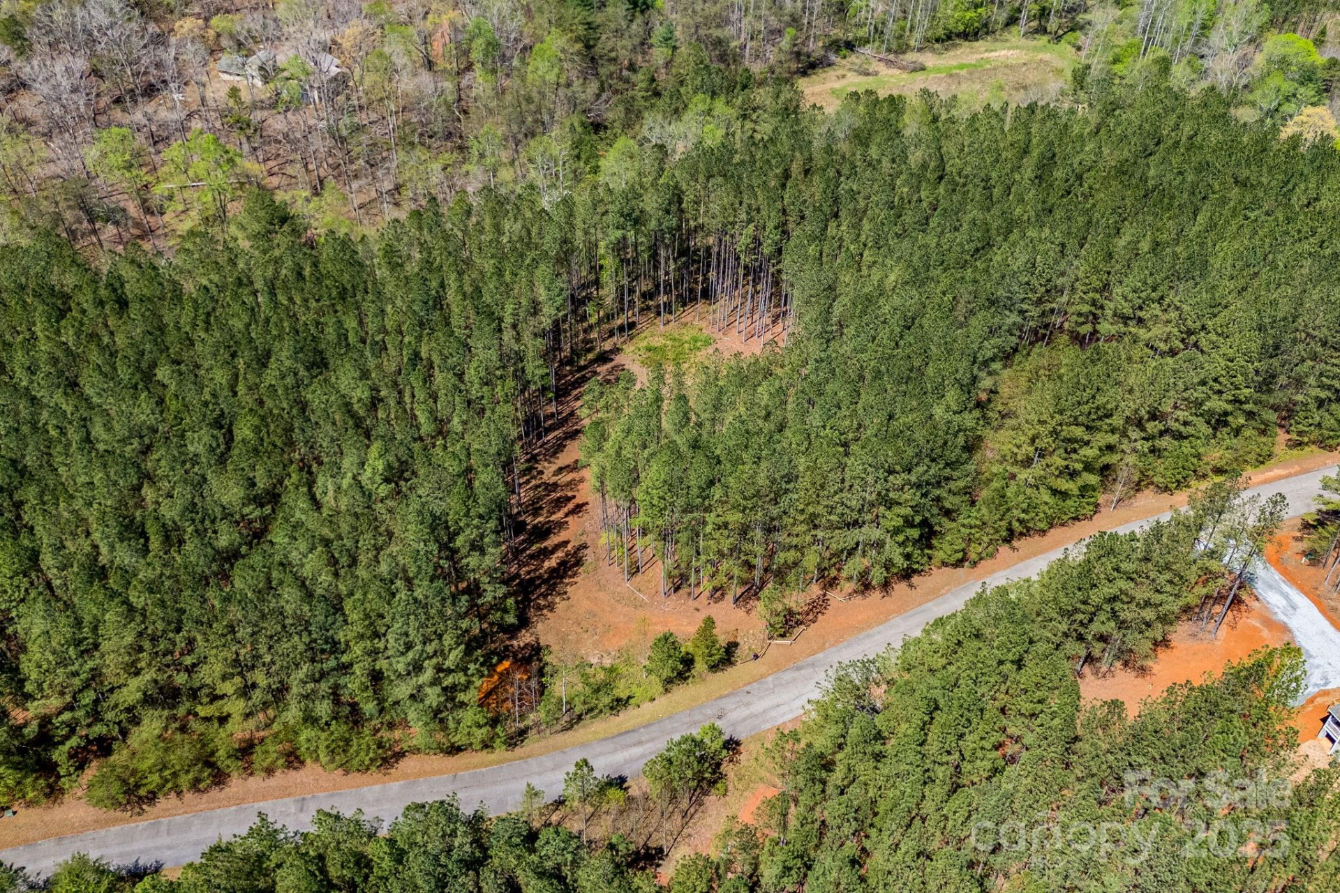 19 Sunset Drive #19 - Photo 10