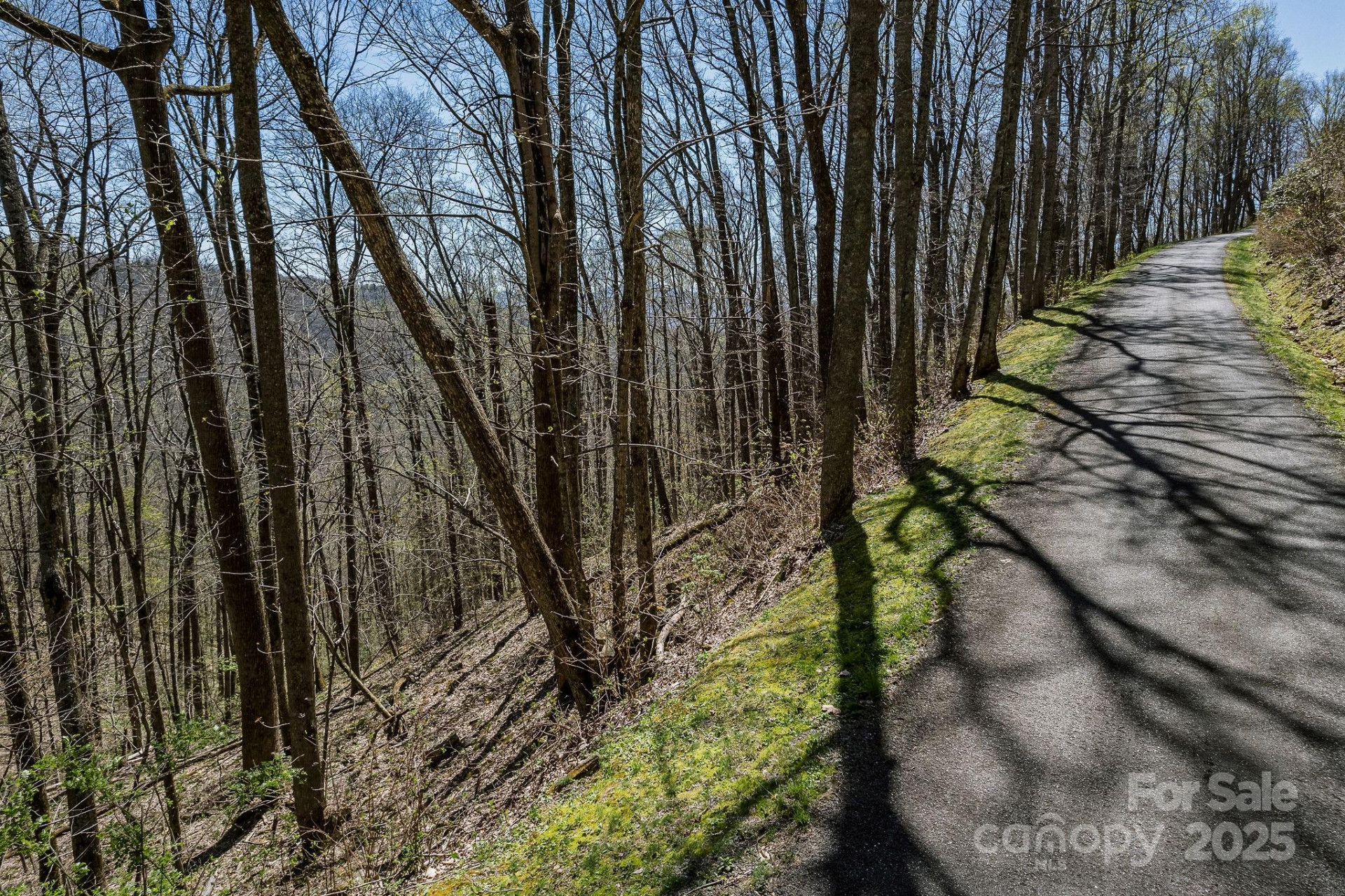 99999 Chestnut Forest Road #412 & #413 - Photo 11