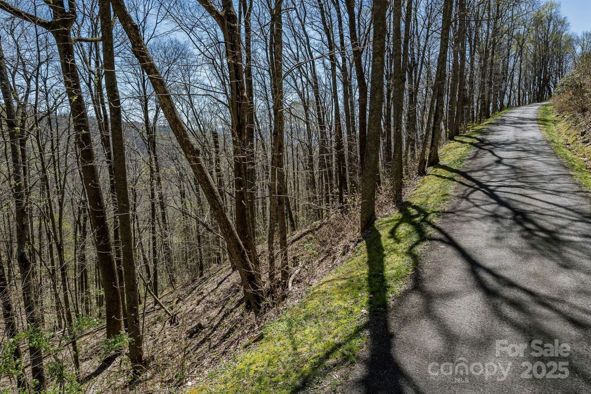 99999 Chestnut Forest Road #412 & #413 - Photo 11