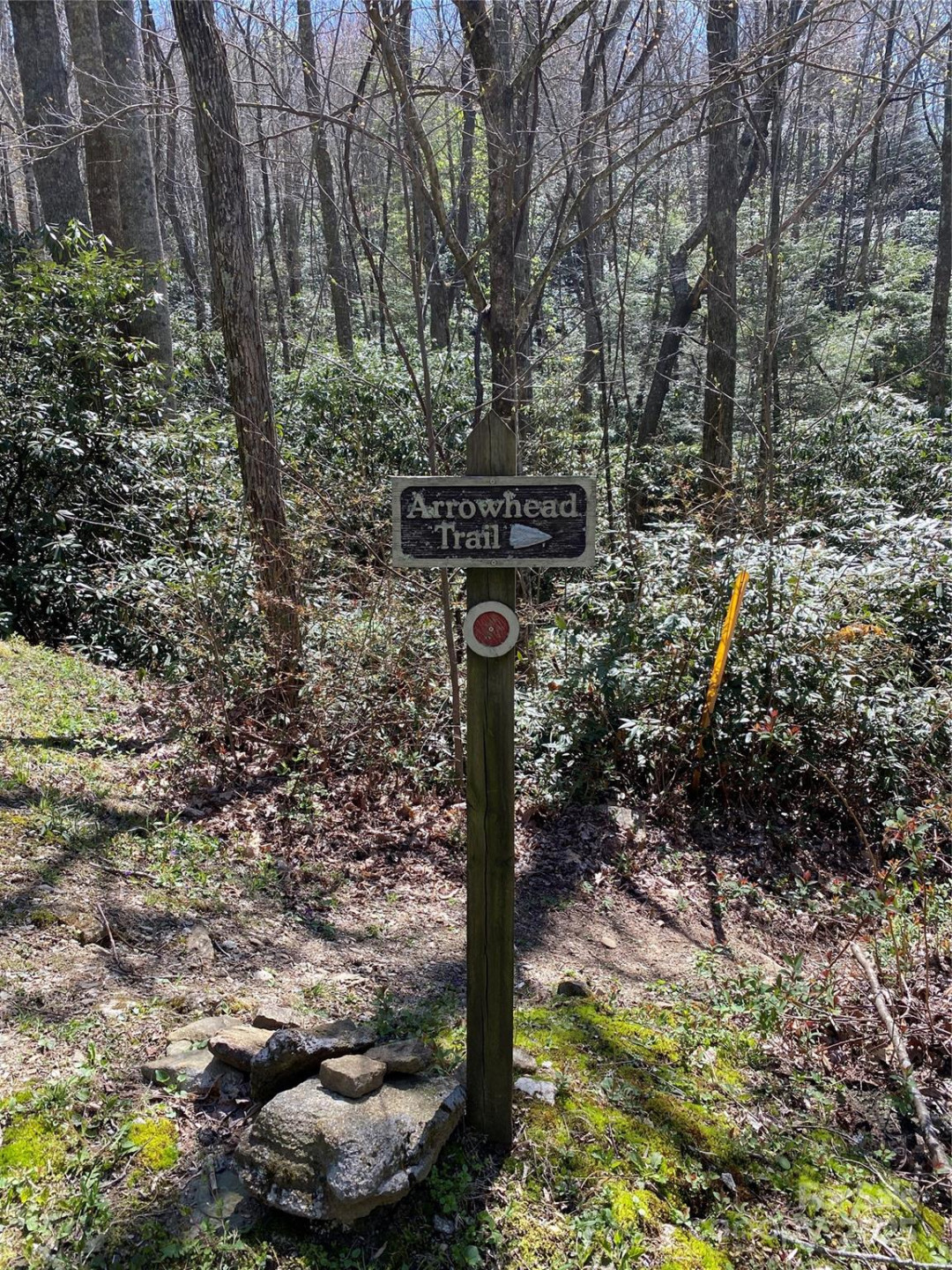 99999 Chestnut Forest Road #412 & #413 - Photo 13