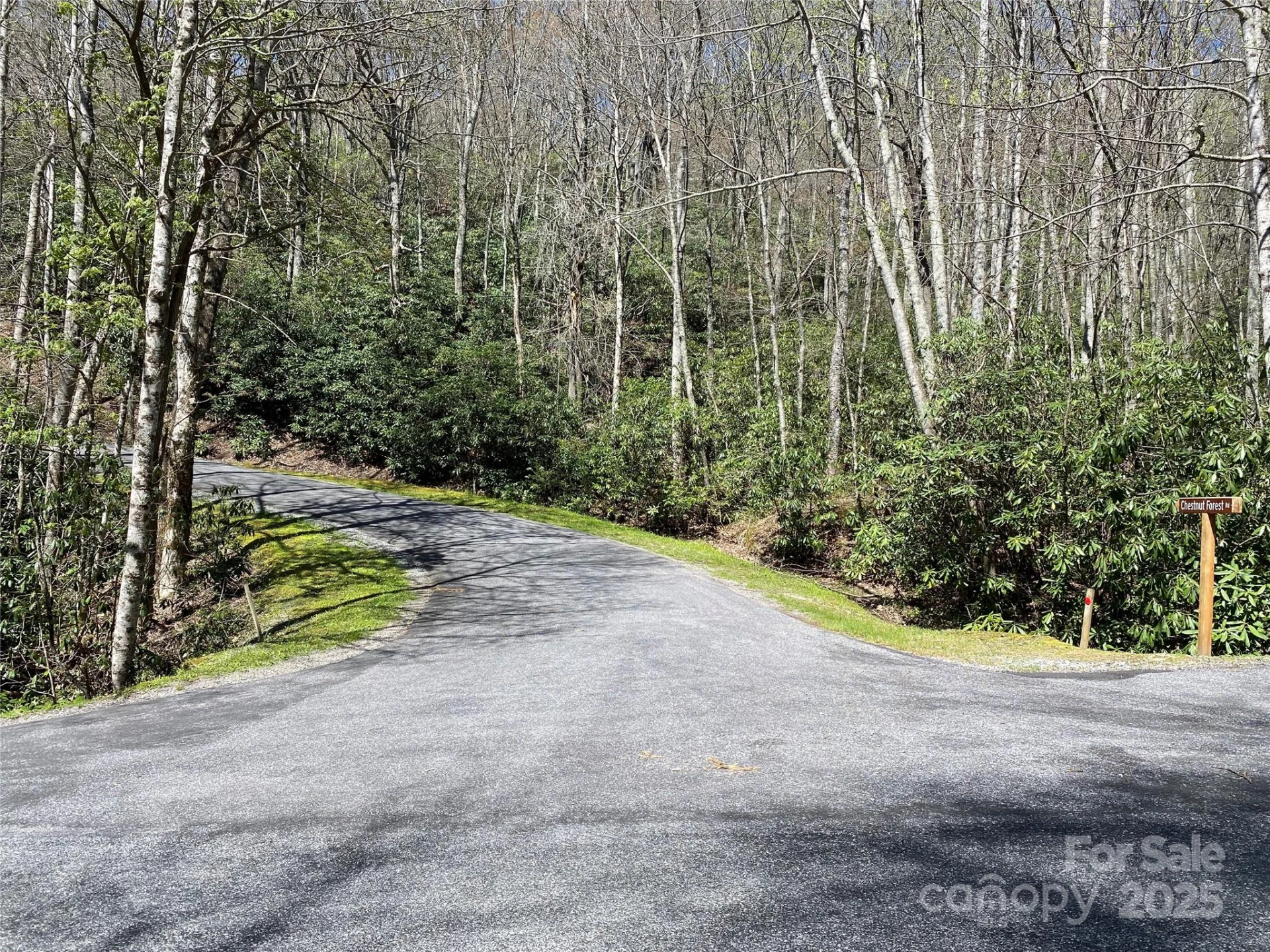 99999 Chestnut Forest Road #412 & #413 - Photo 14