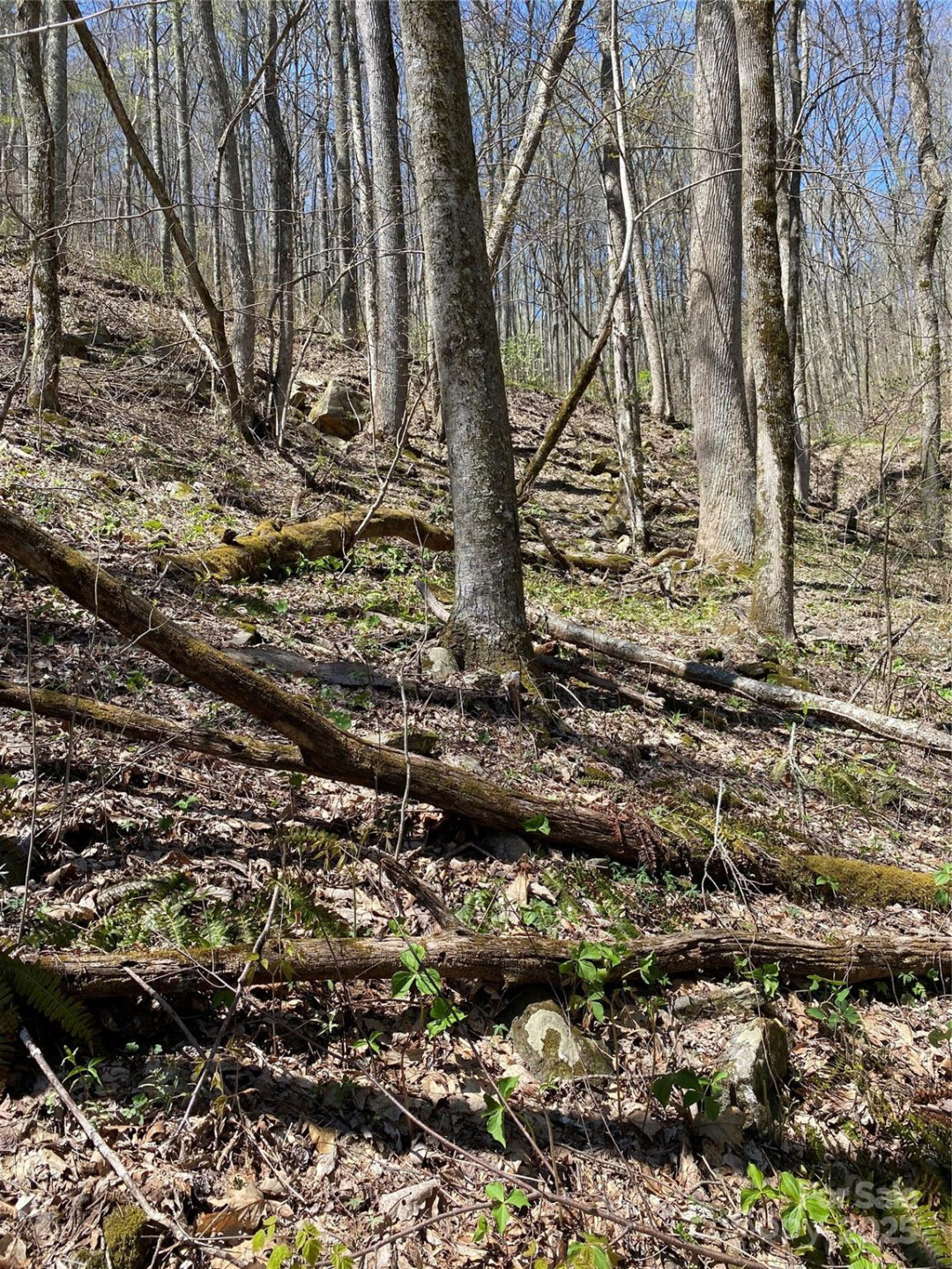 99999 Chestnut Forest Road #412 & #413 - Photo 15