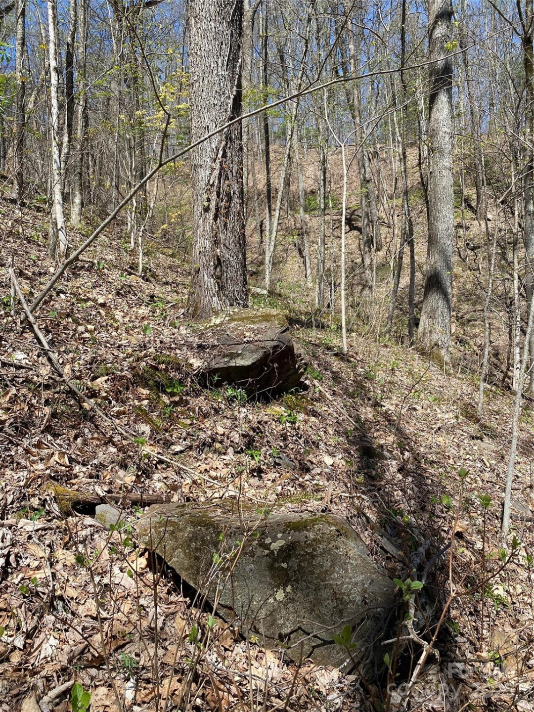 99999 Chestnut Forest Road #412 & #413 - Photo 16