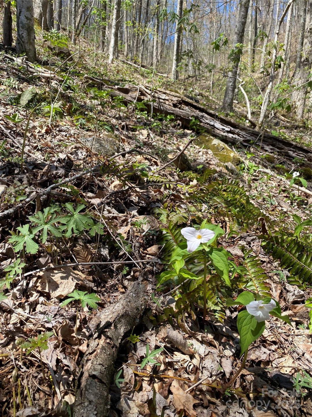 99999 Chestnut Forest Road #412 & #413 - Photo 17