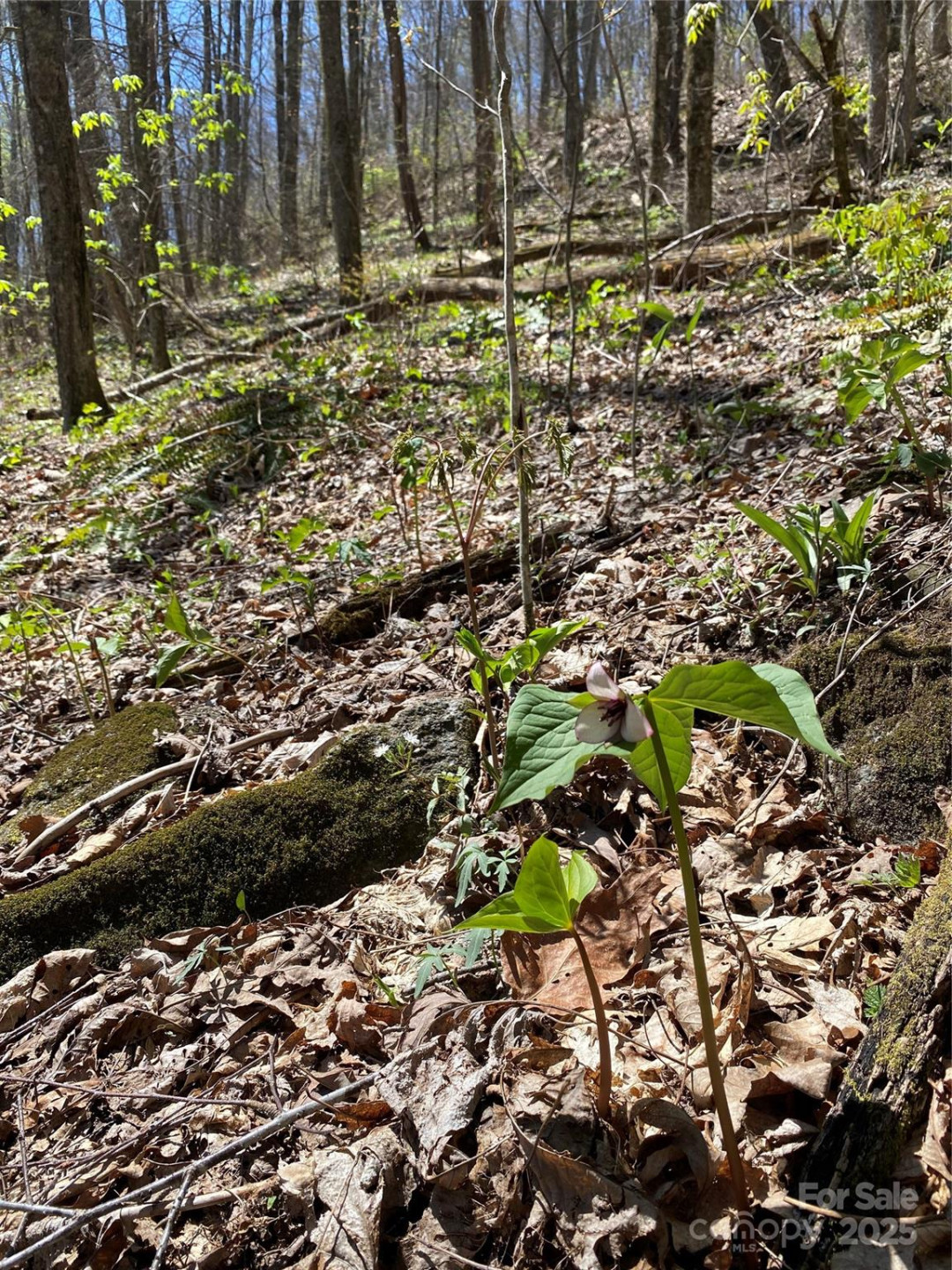 99999 Chestnut Forest Road #412 & #413 - Photo 18