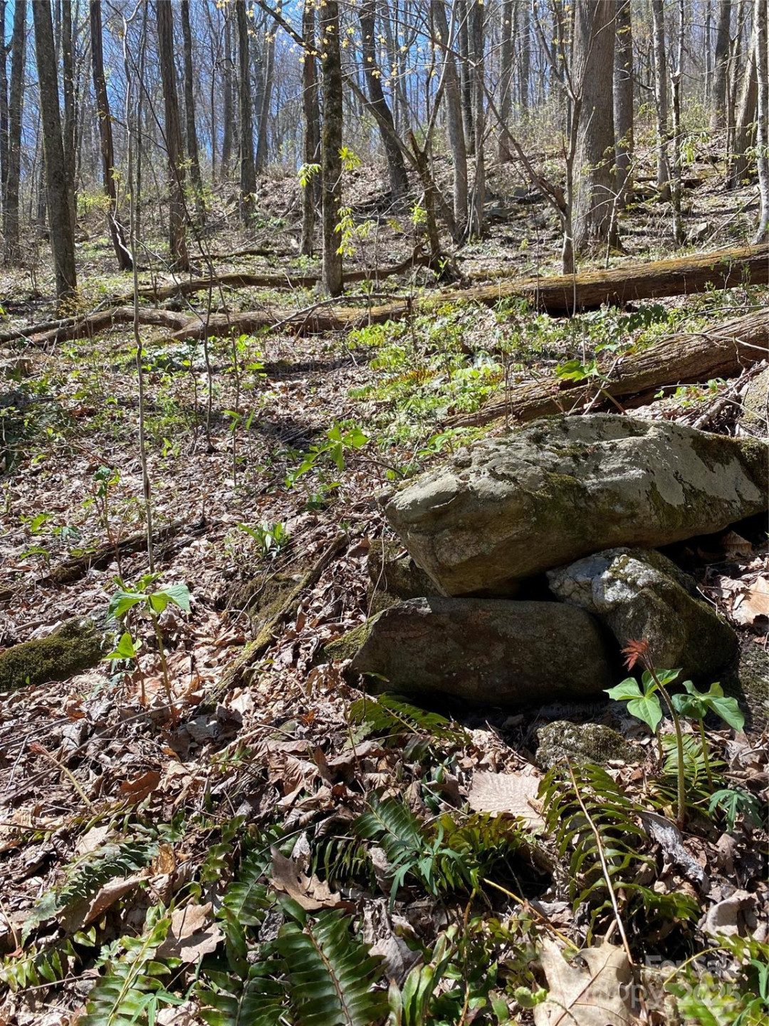 99999 Chestnut Forest Road #412 & #413 - Photo 19