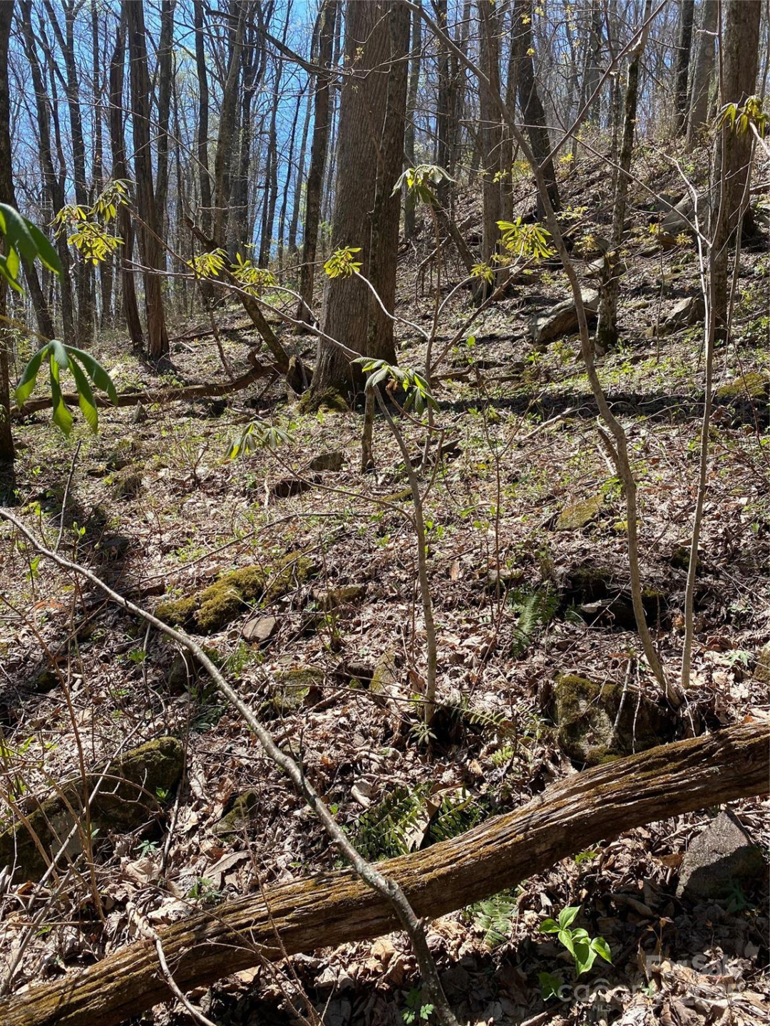 99999 Chestnut Forest Road #412 & #413 - Photo 20