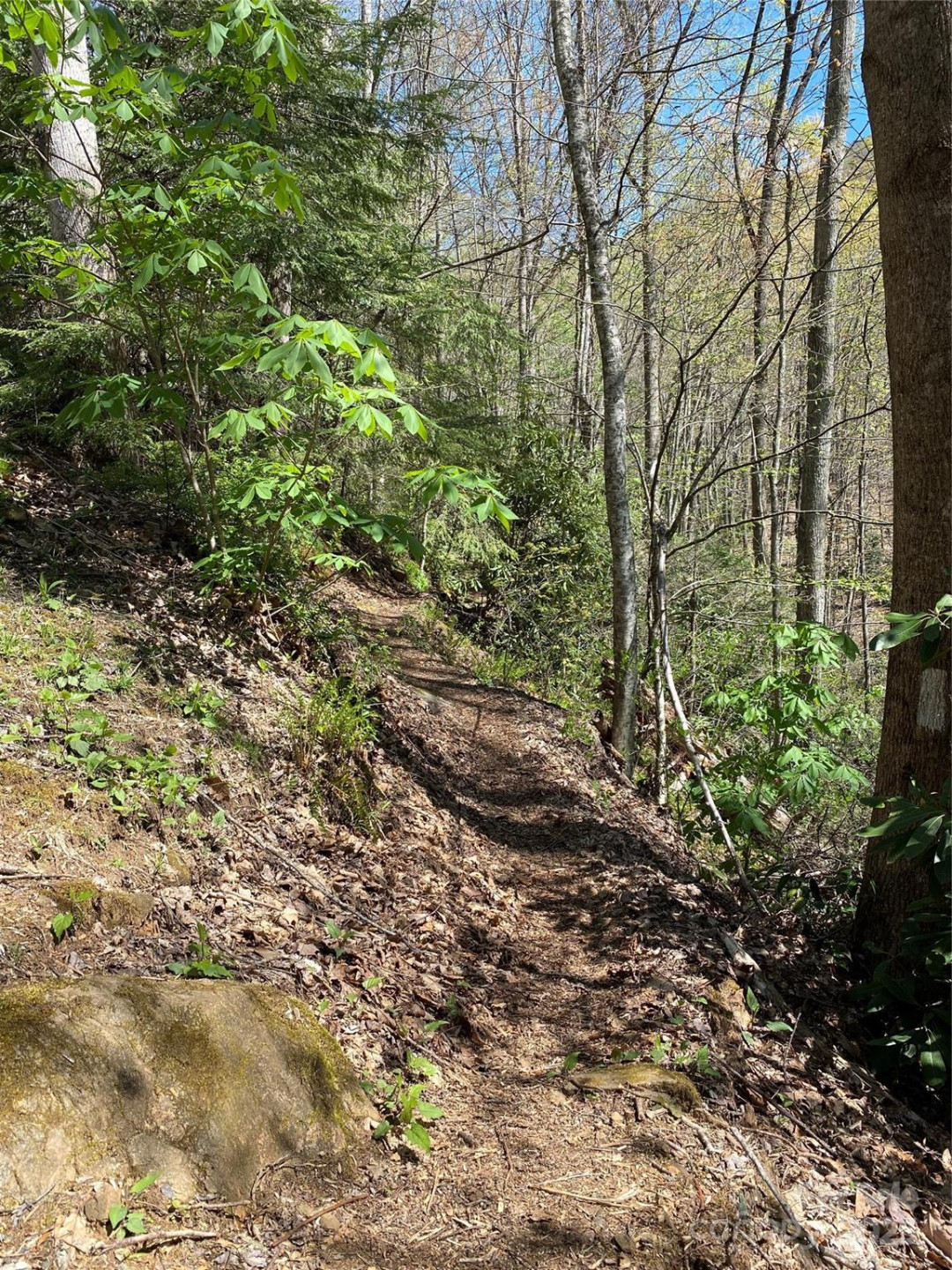 99999 Chestnut Forest Road #412 & #413 - Photo 21