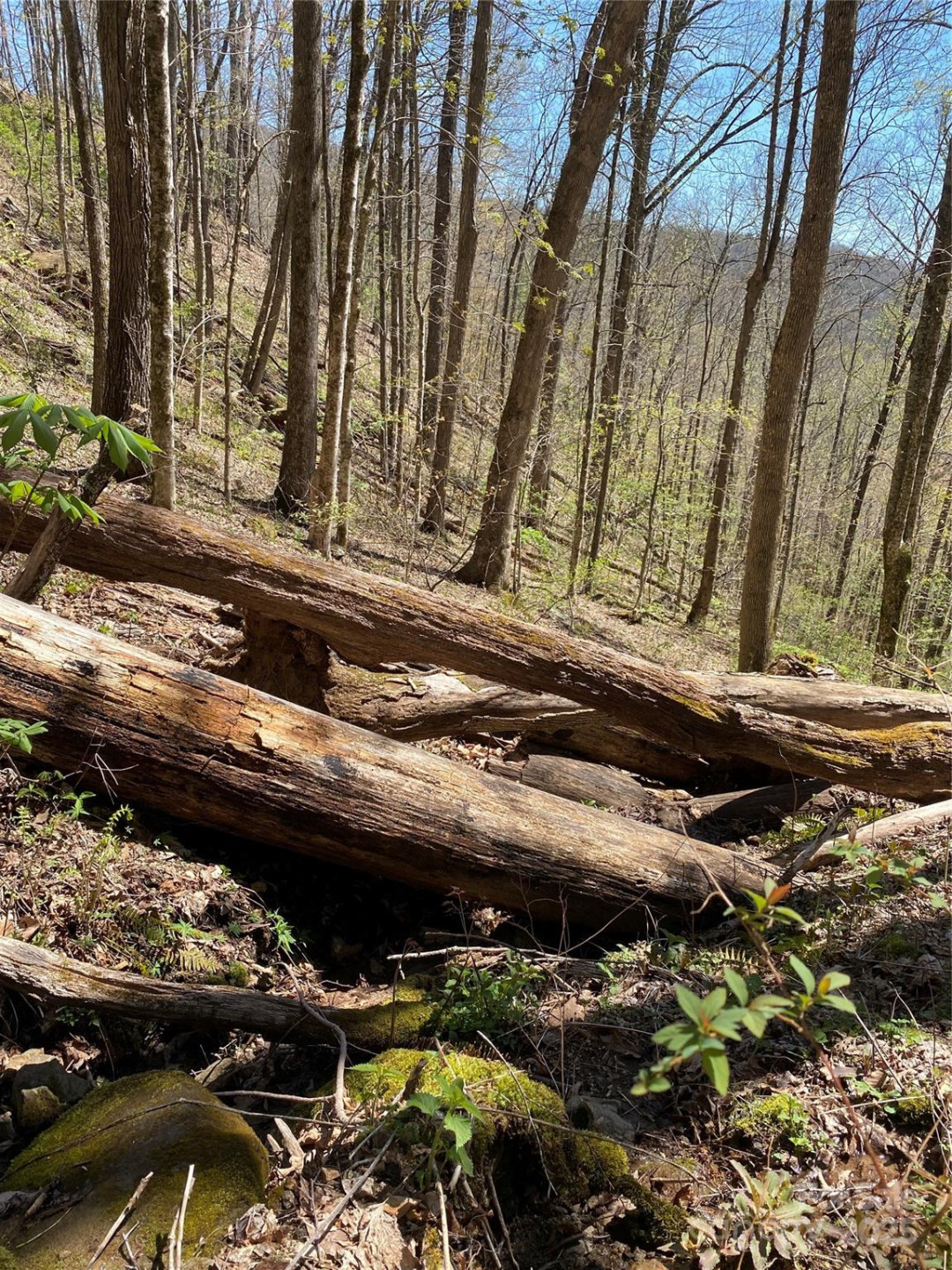 99999 Chestnut Forest Road #412 & #413 - Photo 22