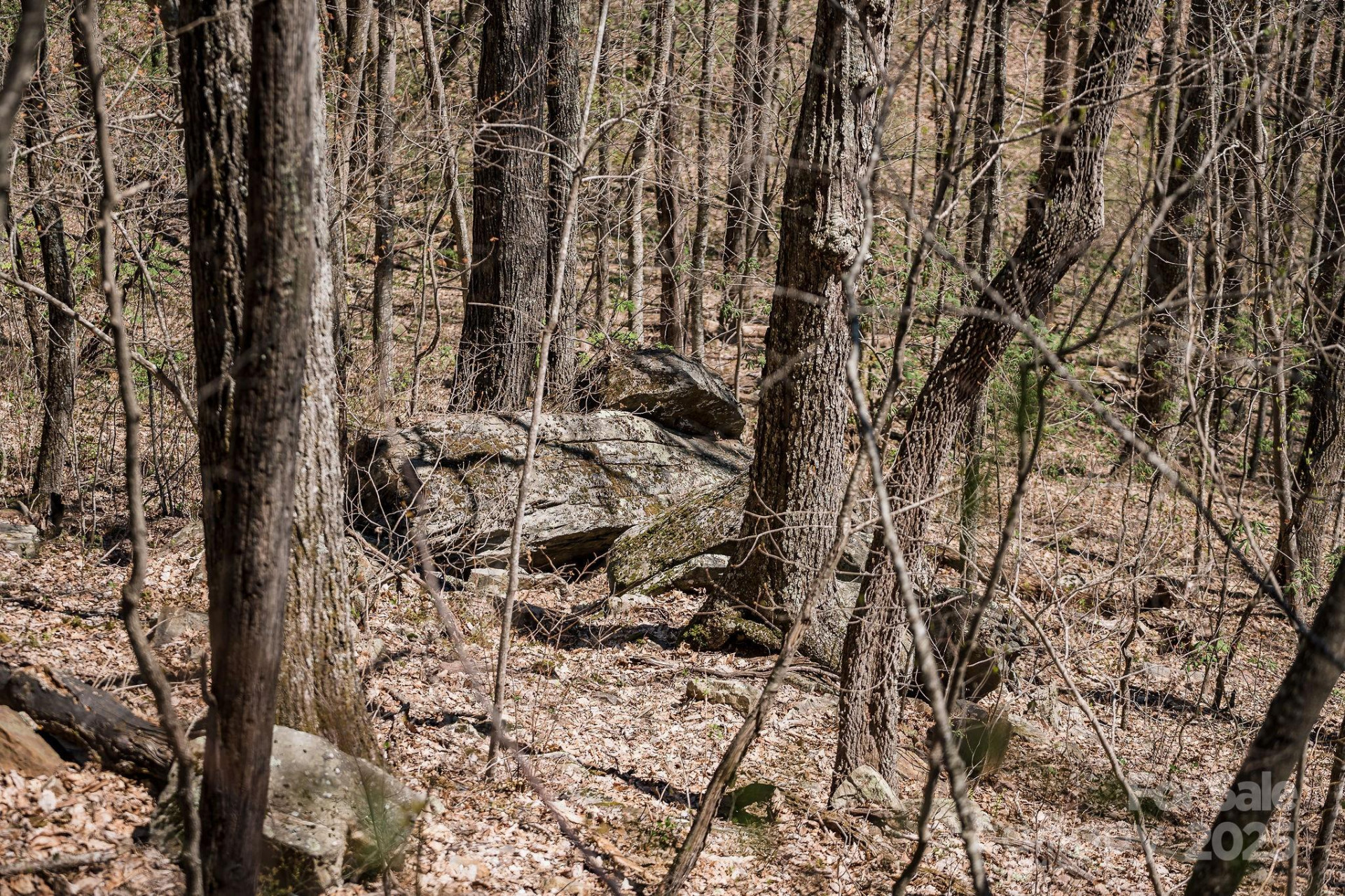 99999 Chestnut Forest Road #412 & #413 - Photo 24