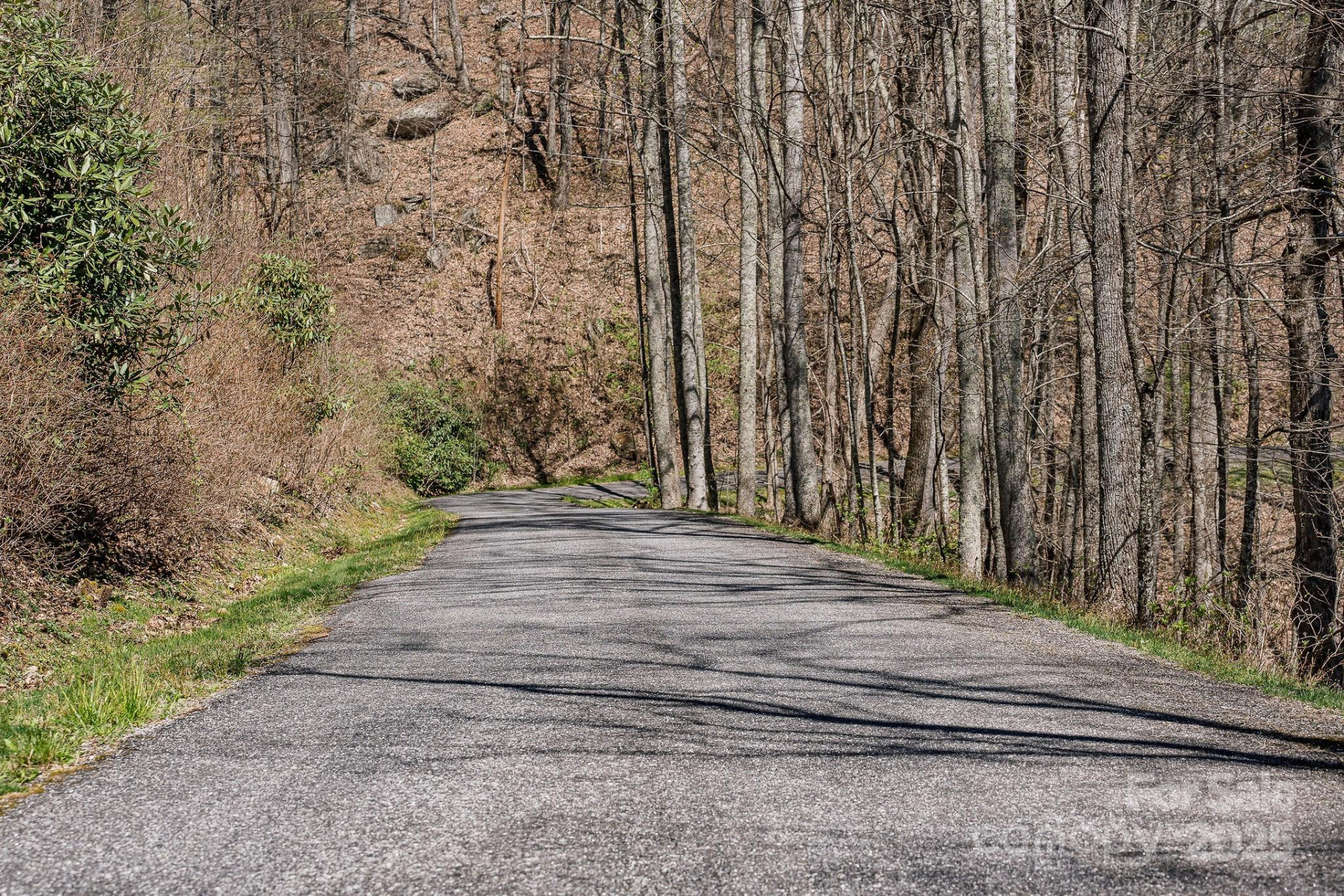 99999 Chestnut Forest Road #412 & #413 - Photo 25