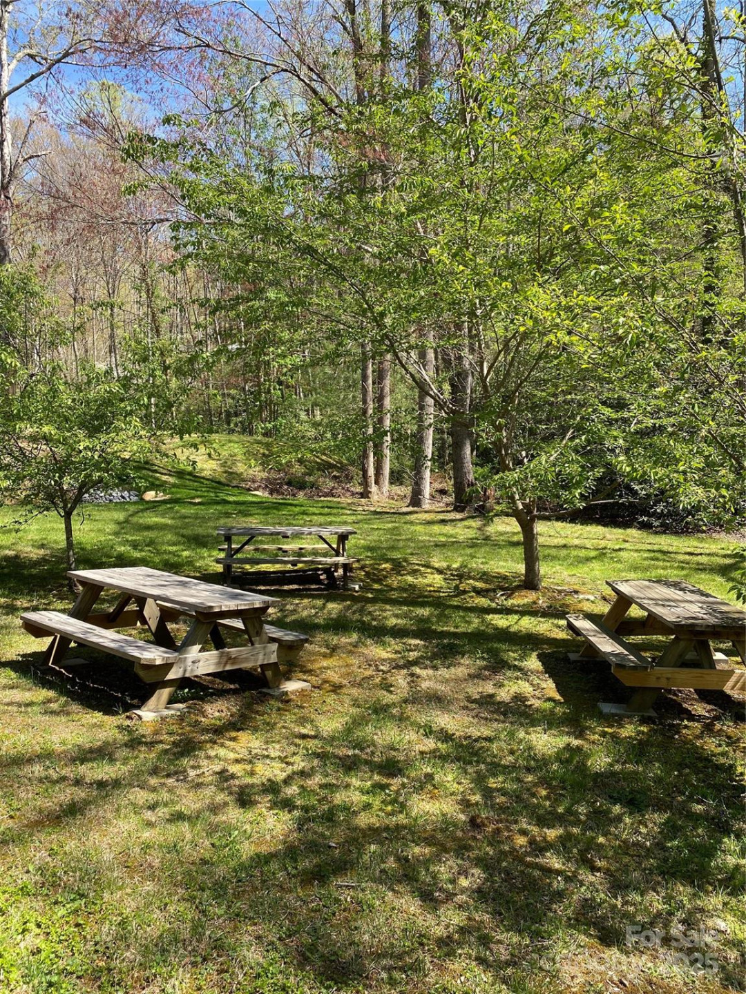 99999 Chestnut Forest Road #412 & #413 - Photo 27