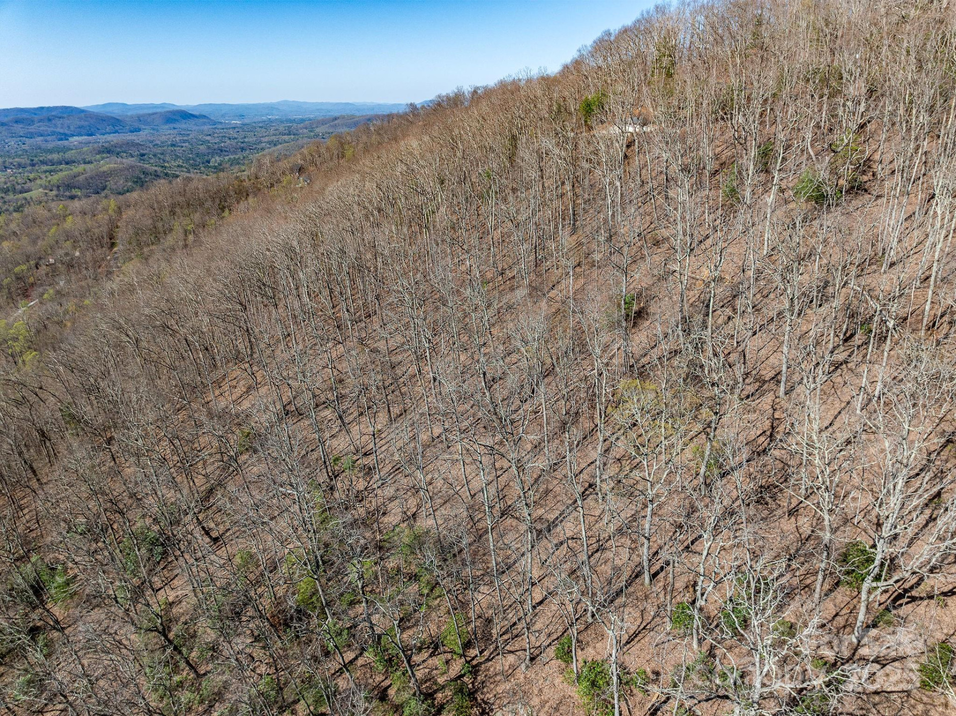 99999 Chestnut Forest Road #412 & #413 - Photo 29