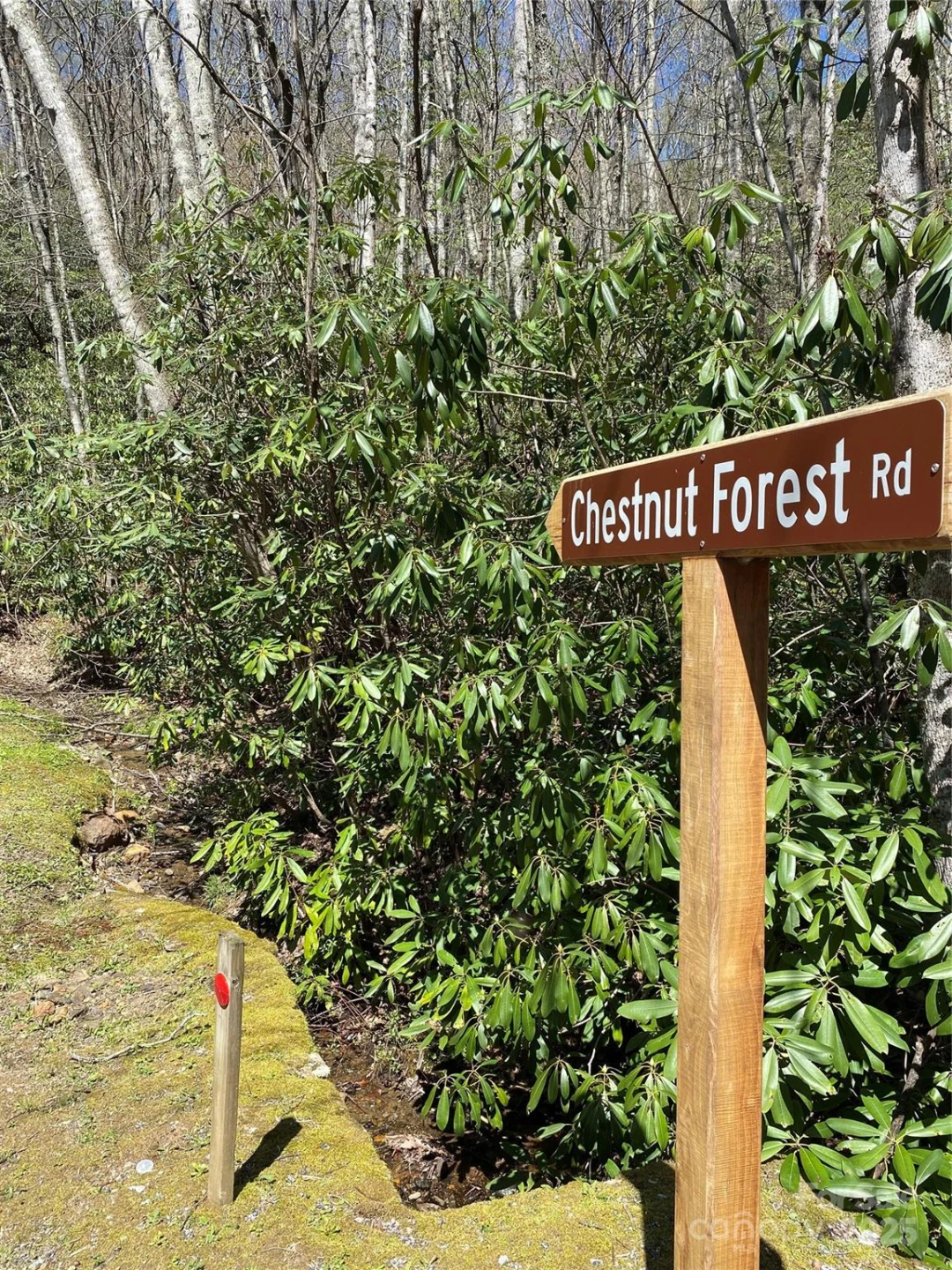 99999 Chestnut Forest Road #412 & #413 - Photo 4