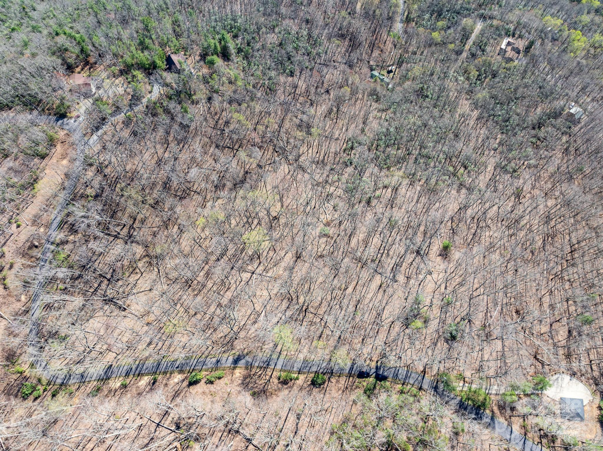 99999 Chestnut Forest Road #412 & #413 - Photo 31