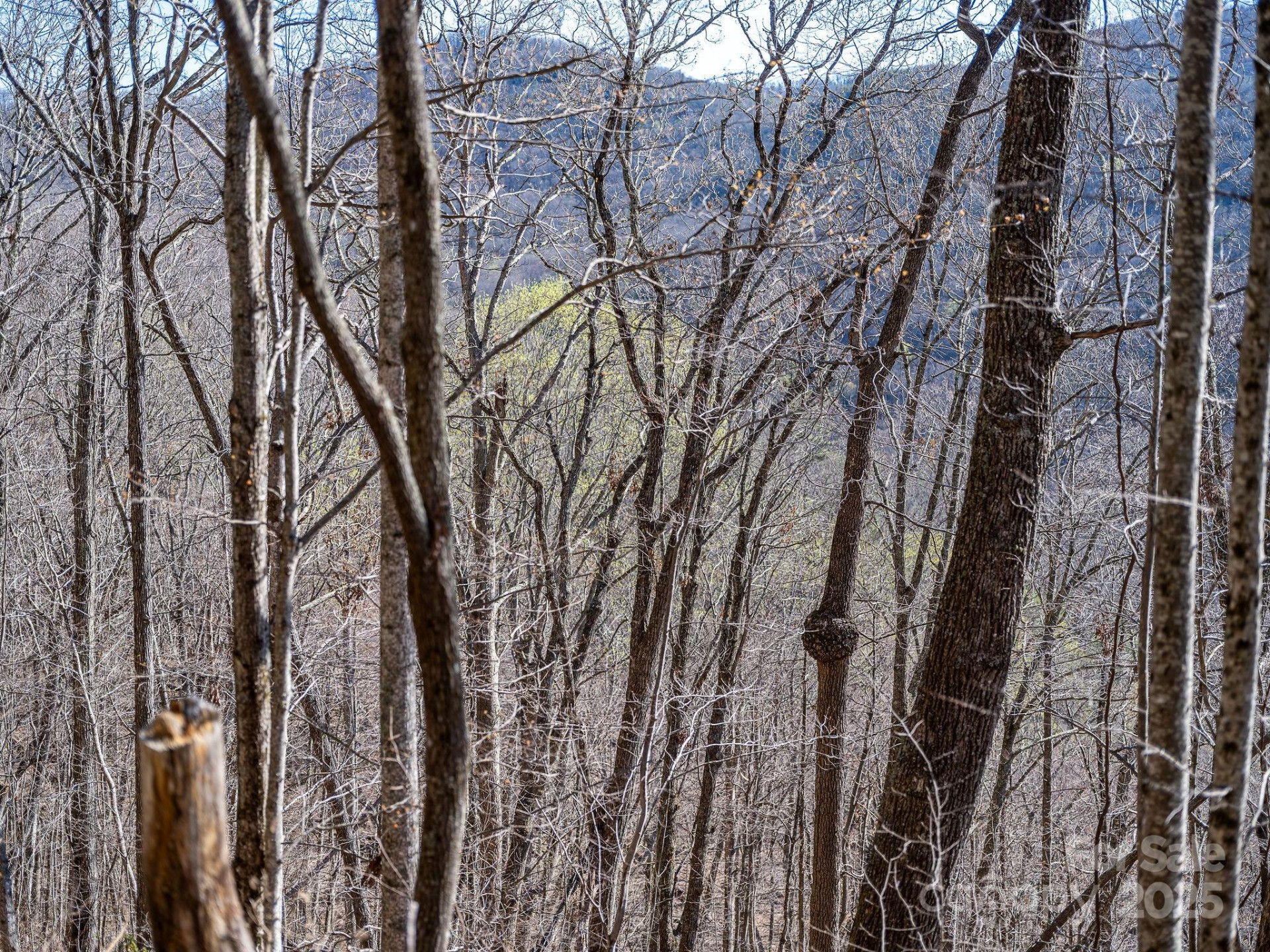 99999 Chestnut Forest Road #412 & #413 - Photo 36