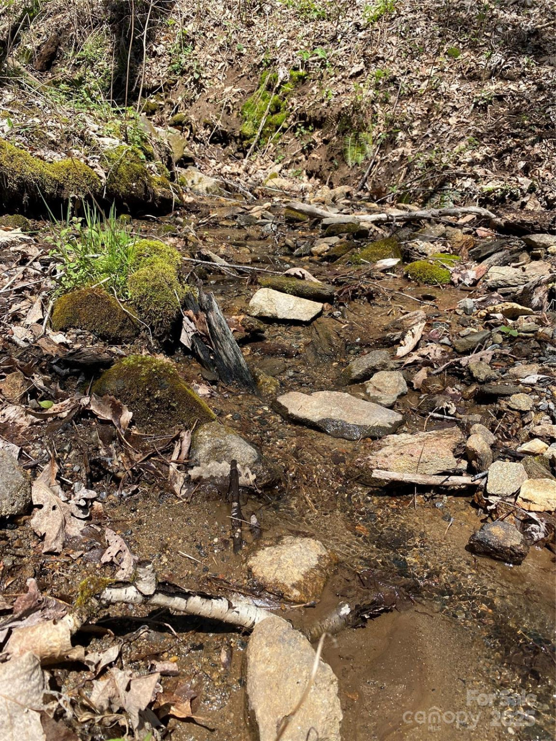 99999 Chestnut Forest Road #412 & #413 - Photo 5