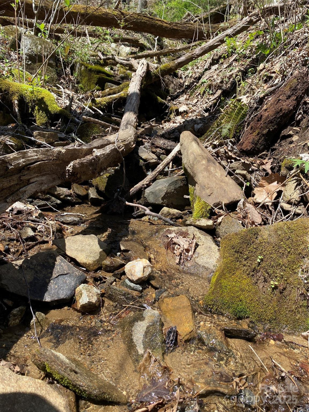 99999 Chestnut Forest Road #412 & #413 - Photo 7