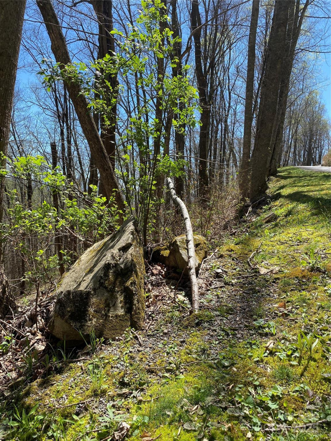 99999 Chestnut Forest Road #412 & #413 - Photo 8