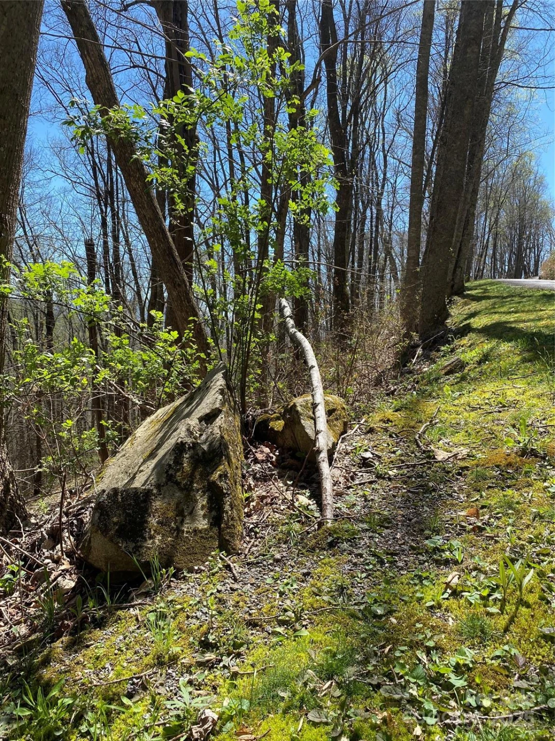 99999 Chestnut Forest Road #412 & #413 - Photo 8