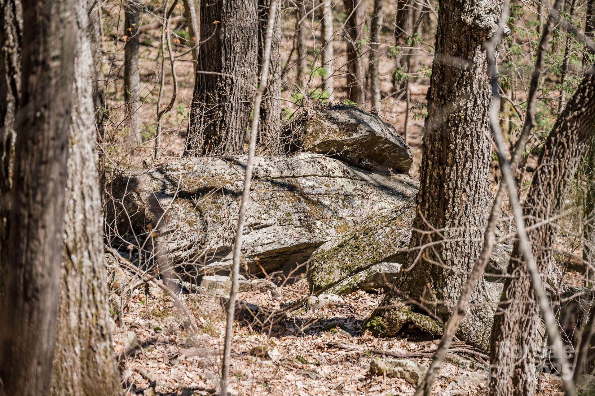 99999 Chestnut Forest Road #412 & #413 - Photo 10