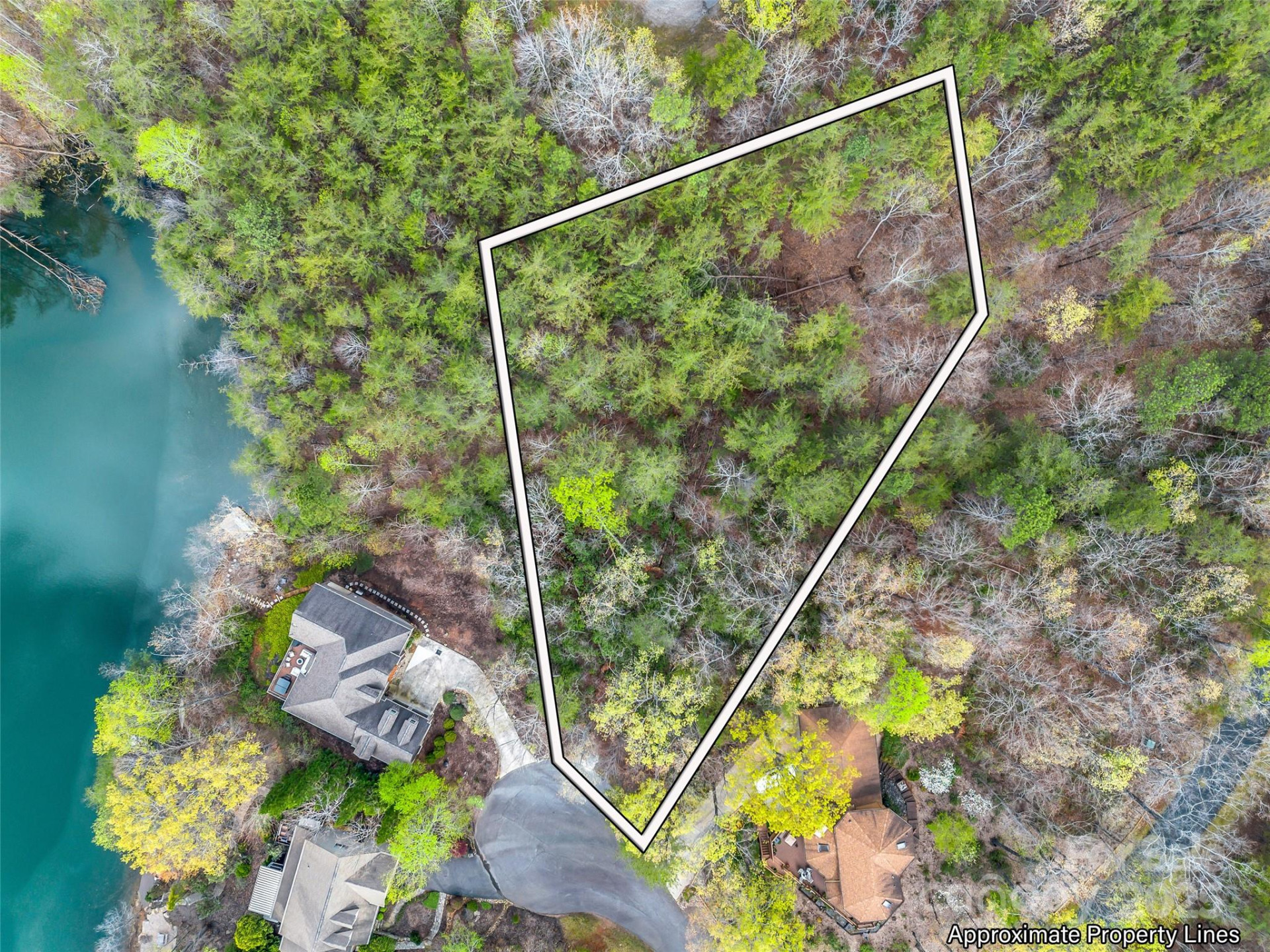 00 Whiteside Court #83 - Photo 2