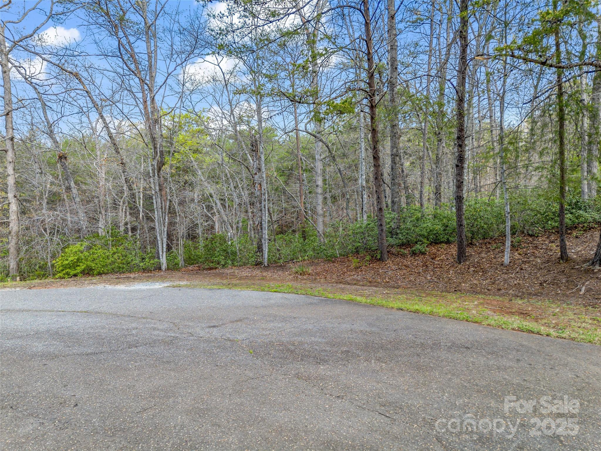 00 Whiteside Court #83 - Photo 5