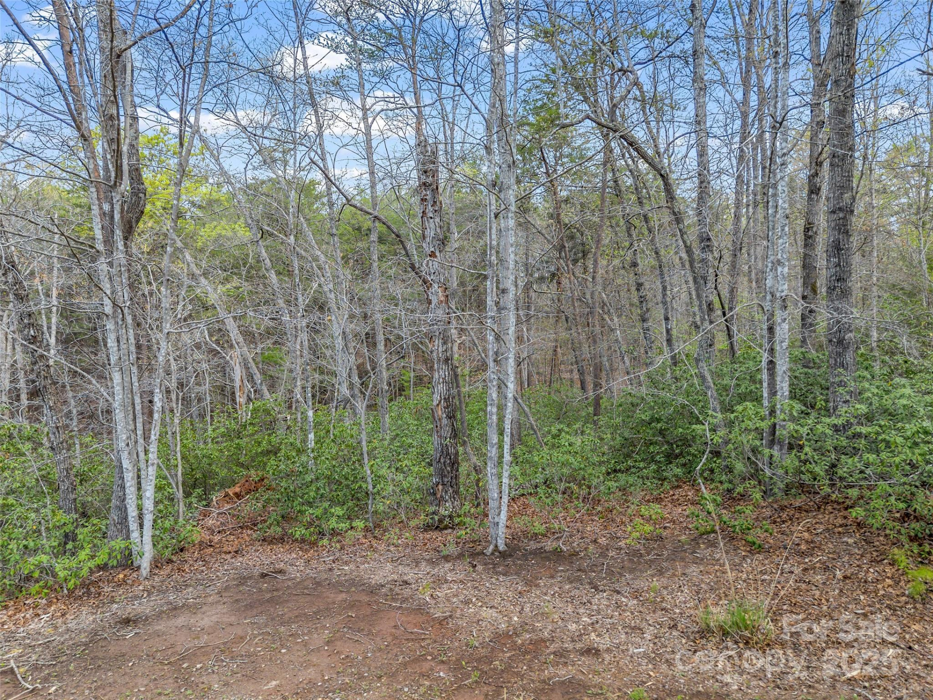 00 Whiteside Court #83 - Photo 6