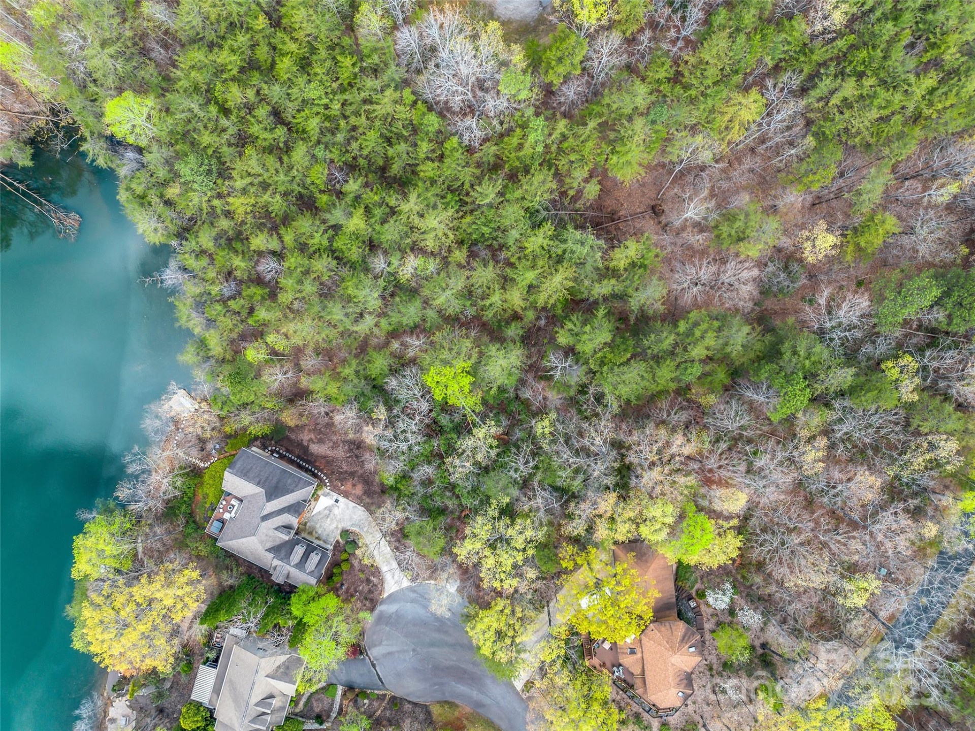 00 Whiteside Court #83 - Photo 8