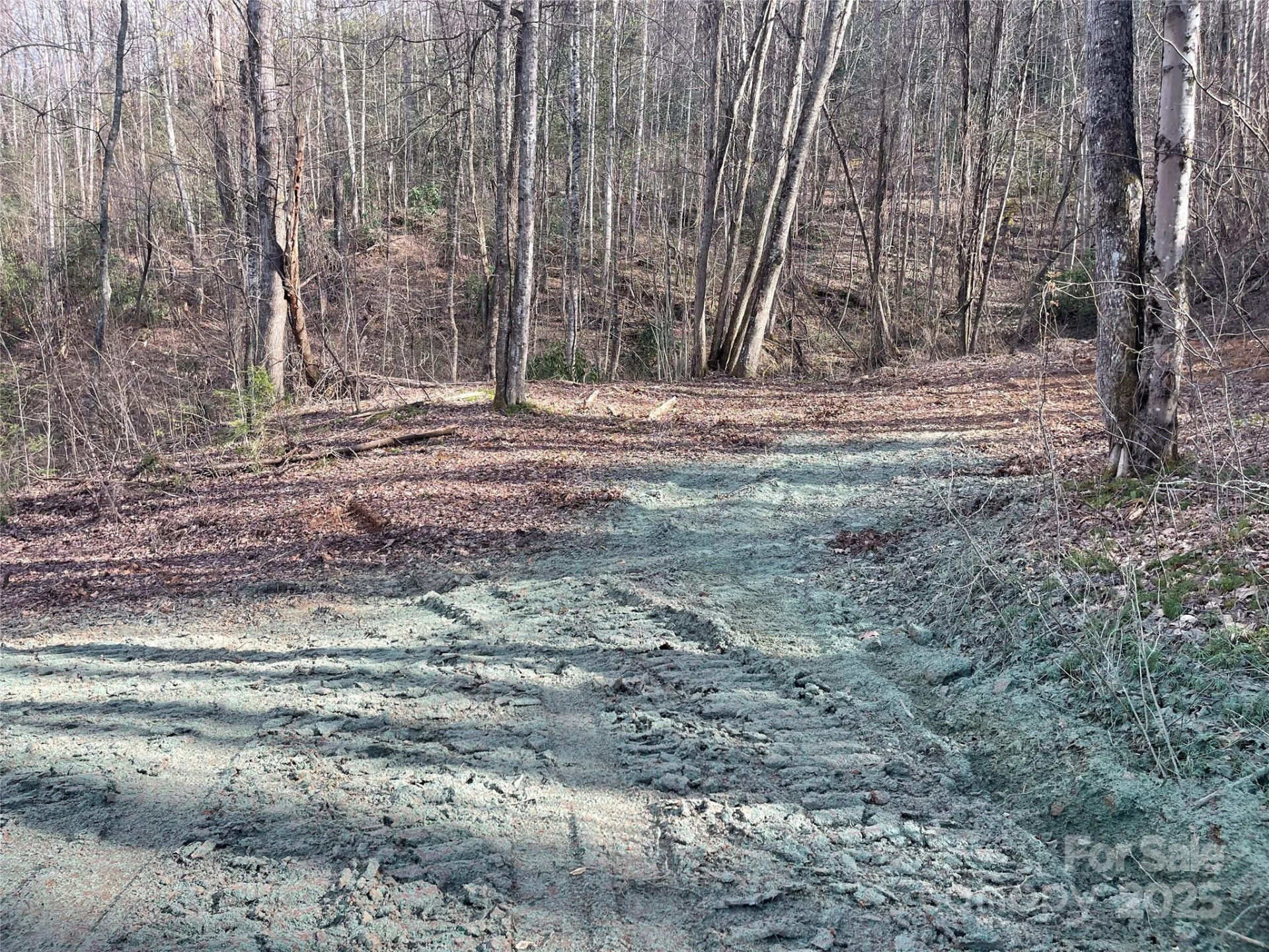 4 Copperhead Cove - Photo 12