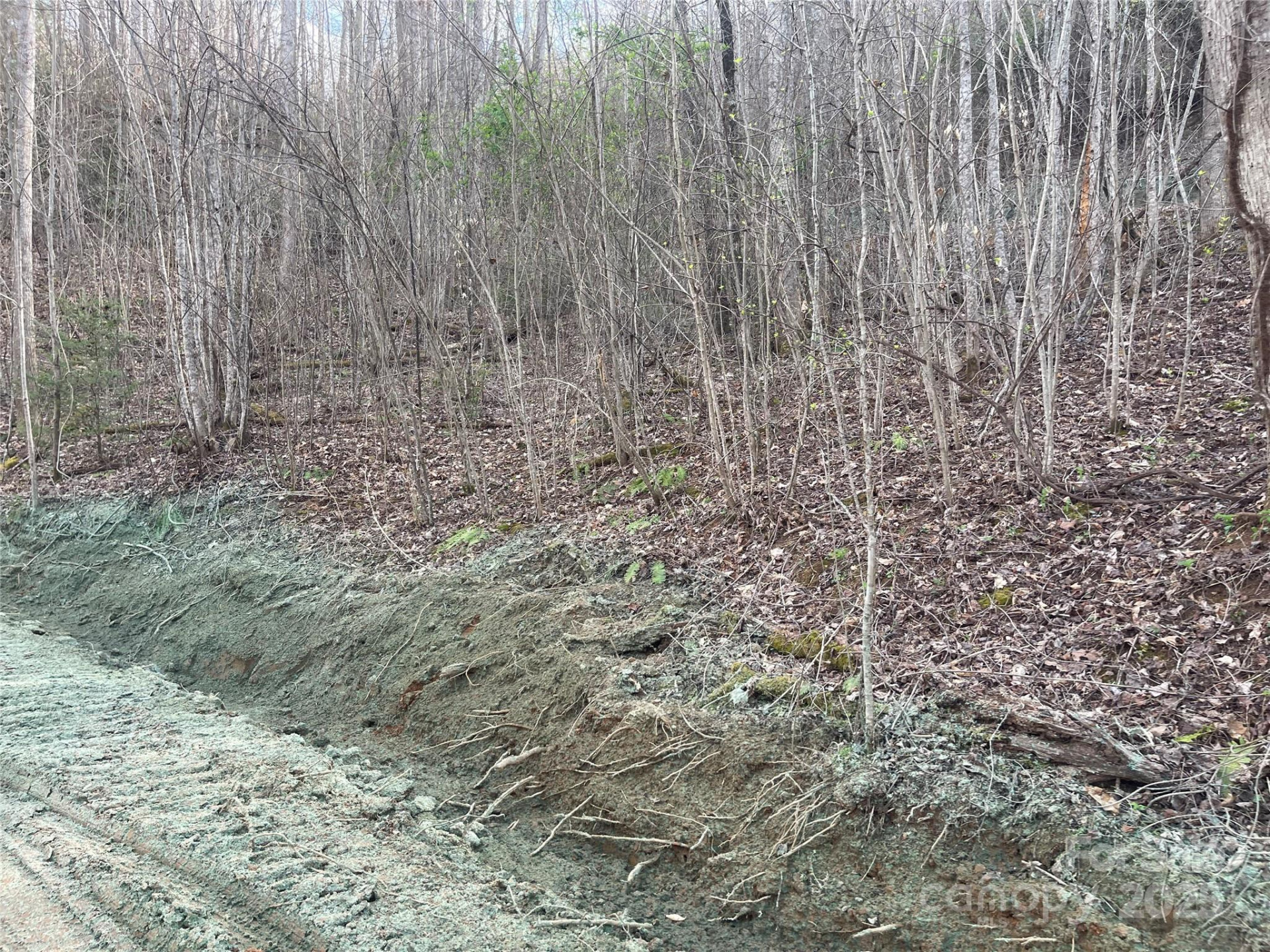 4 Copperhead Cove - Photo 13