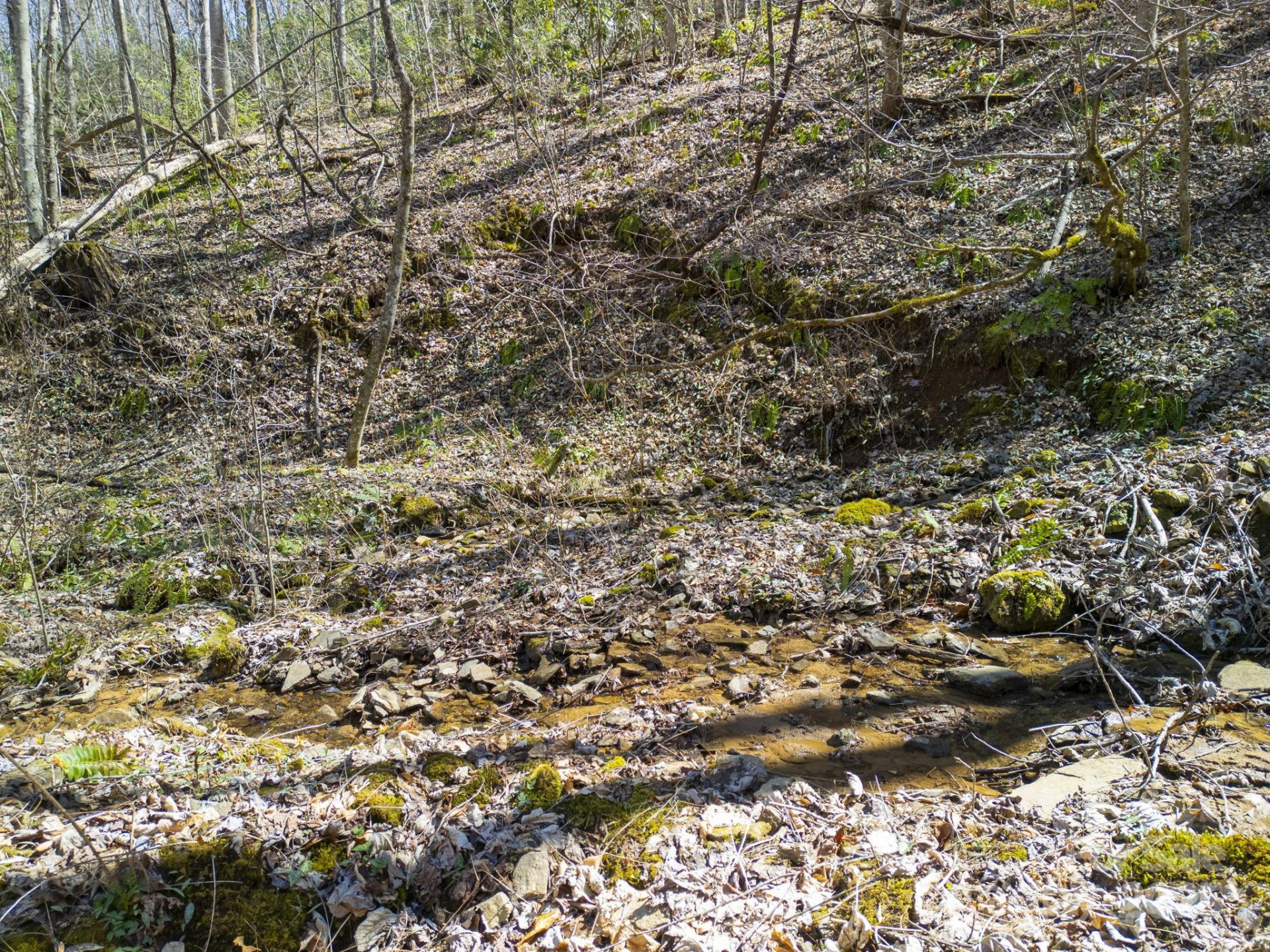 4 Copperhead Cove - Photo 14