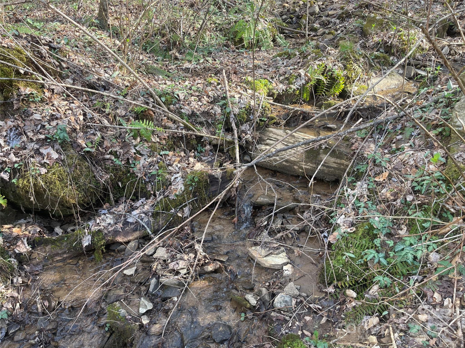 4 Copperhead Cove - Photo 16