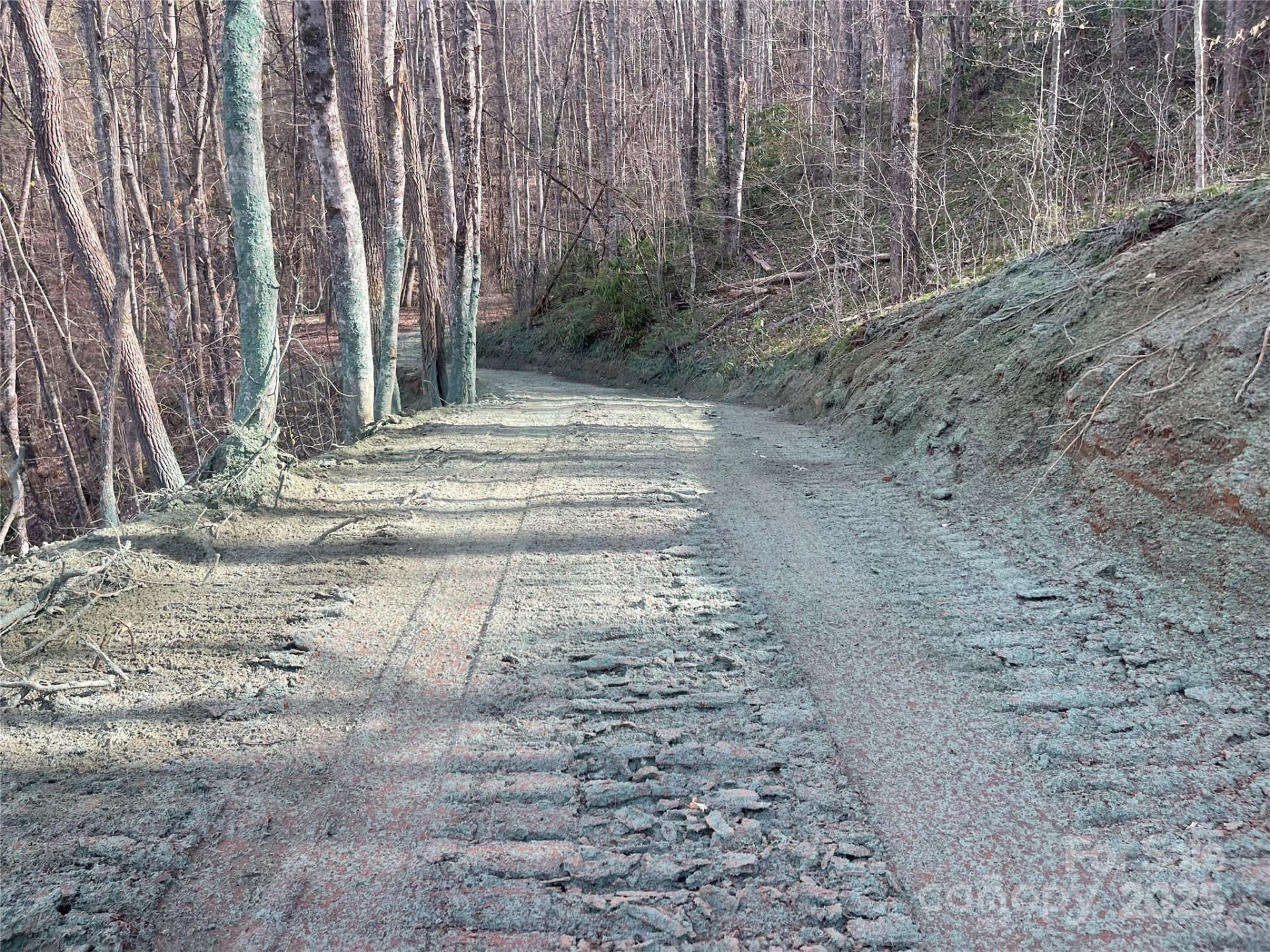 4 Copperhead Cove - Photo 18