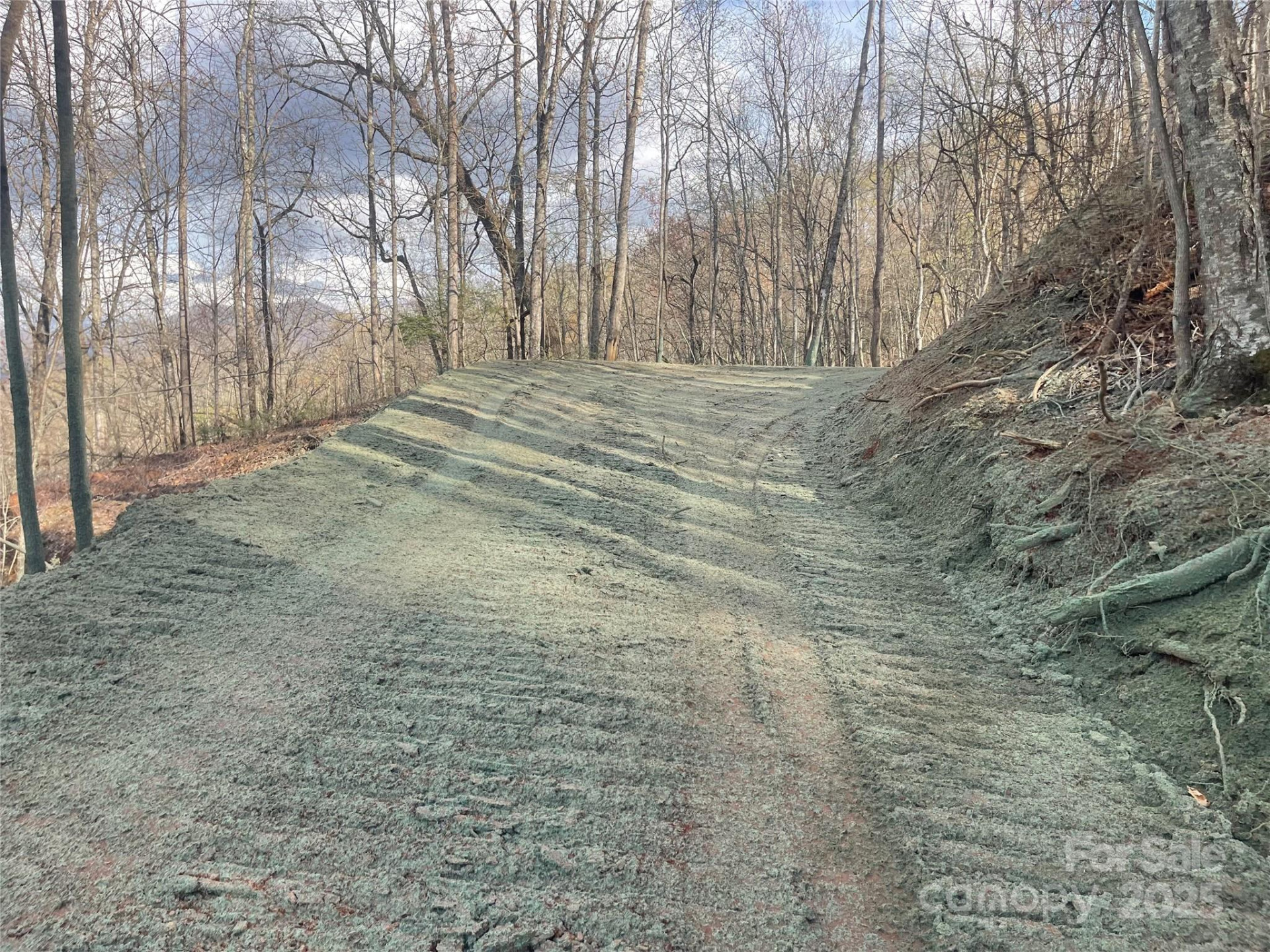 4 Copperhead Cove - Photo 19