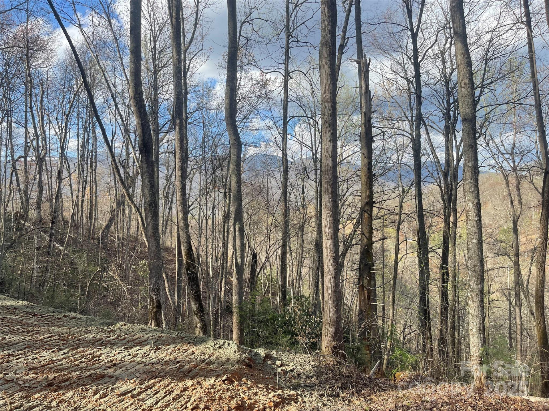 4 Copperhead Cove - Photo 3