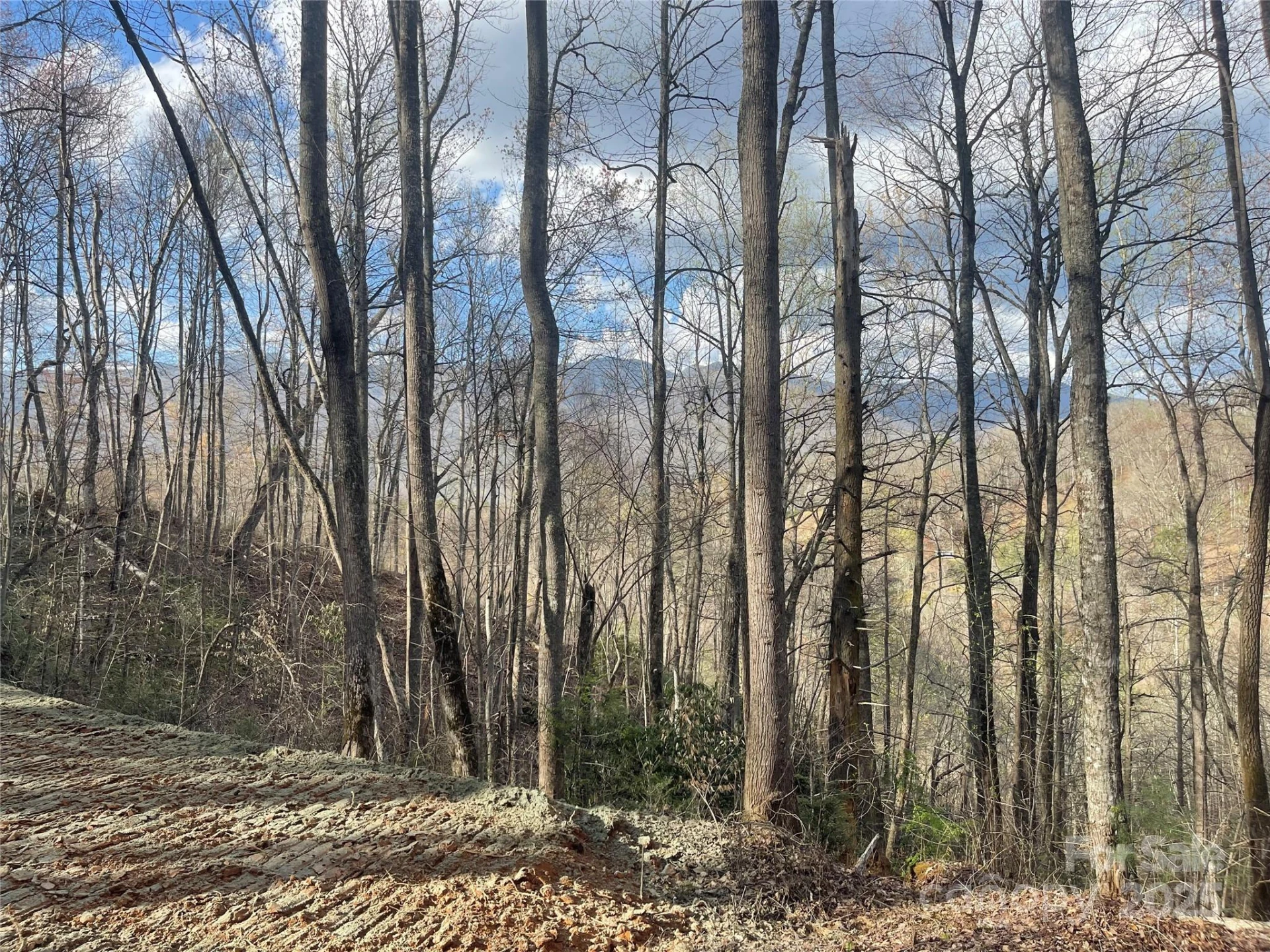 4 Copperhead Cove - Photo 3