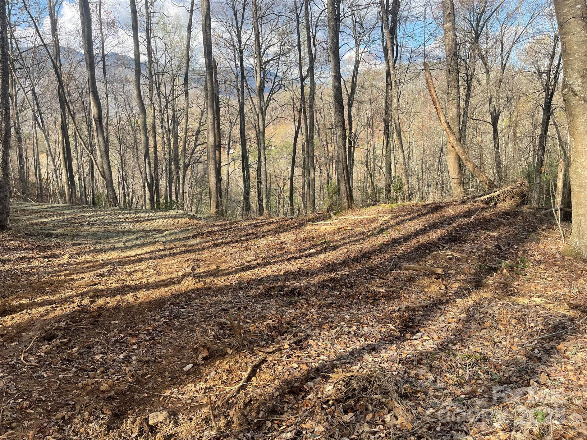 4 Copperhead Cove - Photo 4