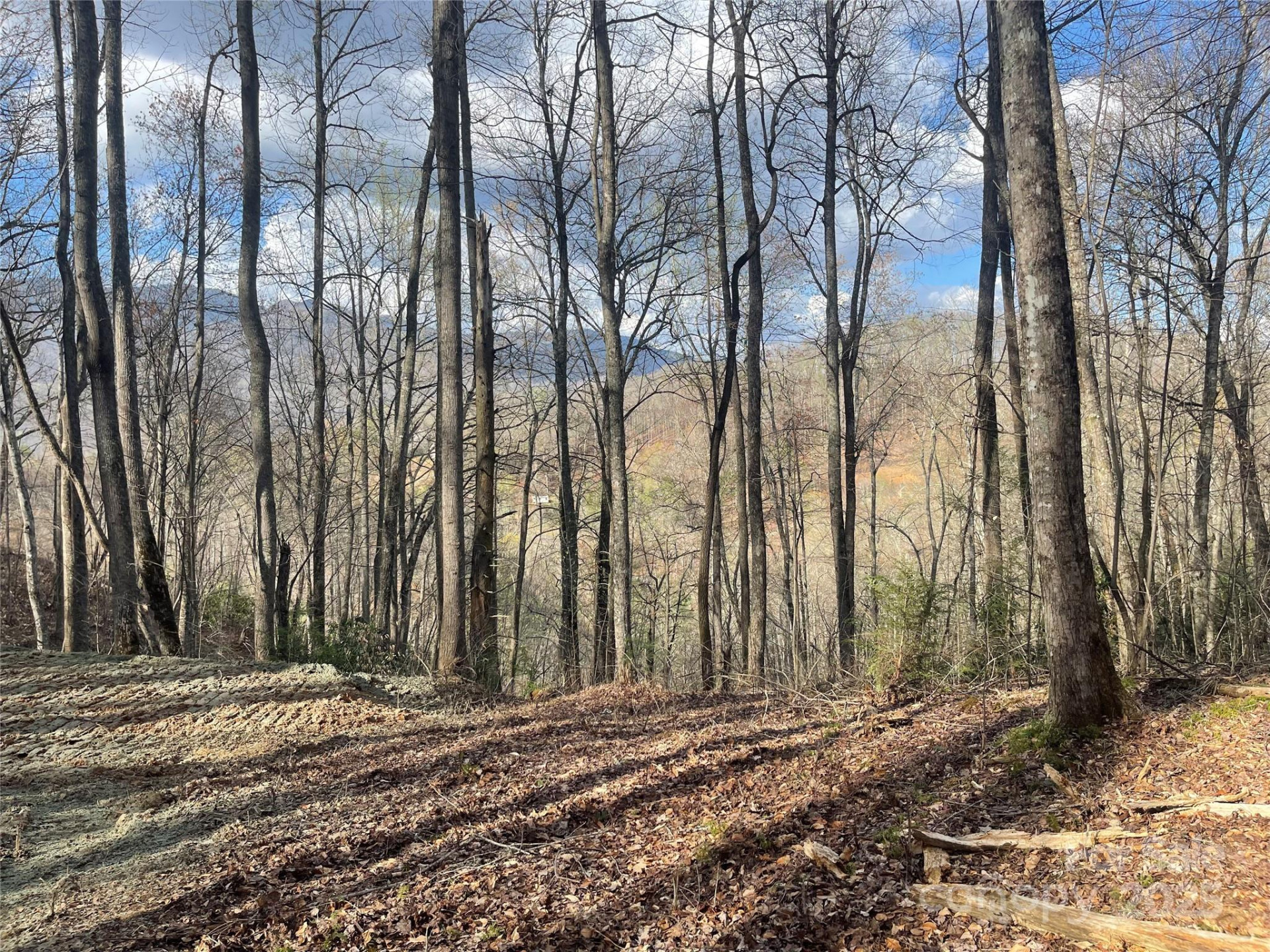 4 Copperhead Cove - Photo 5