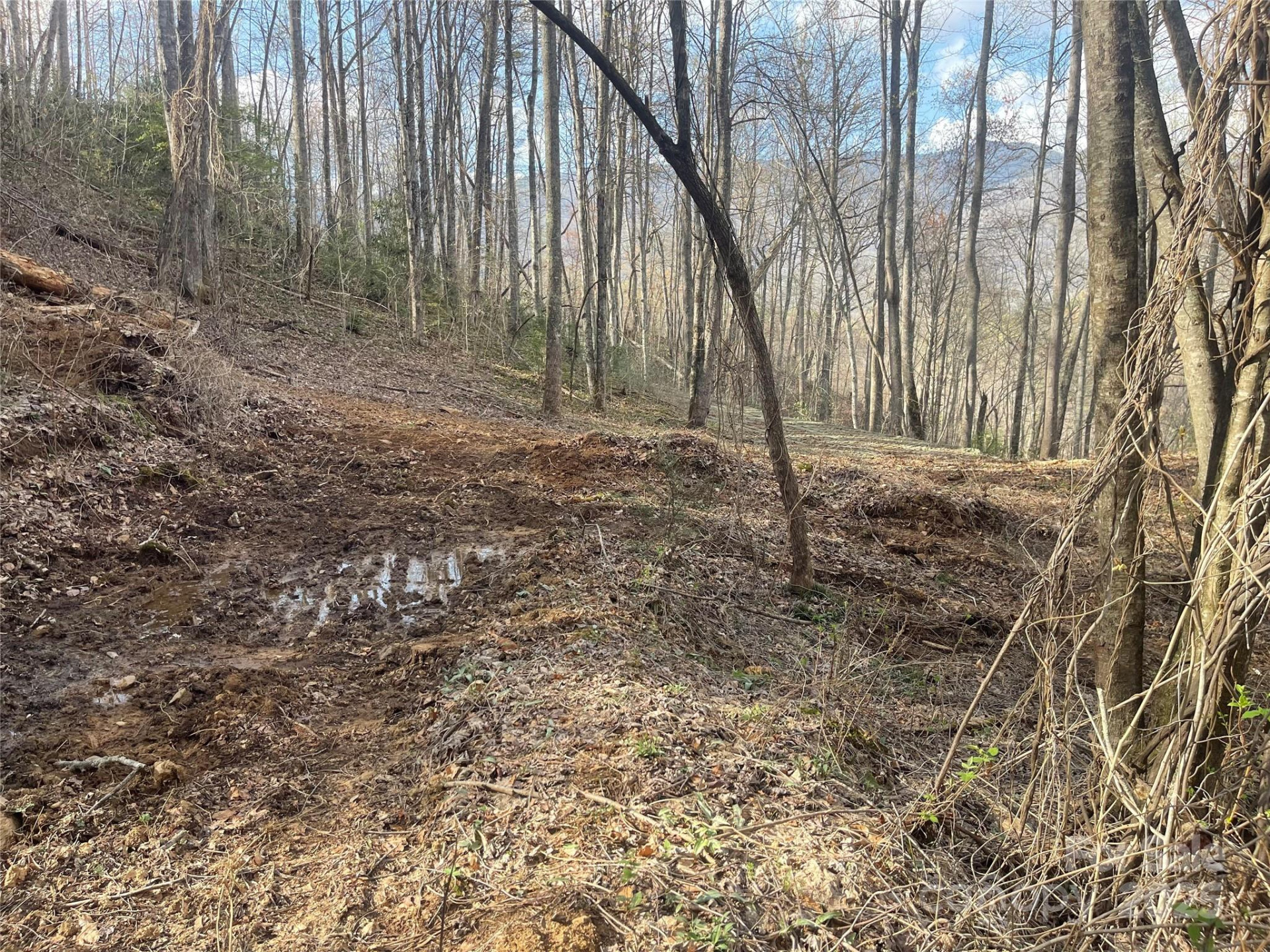 4 Copperhead Cove - Photo 6